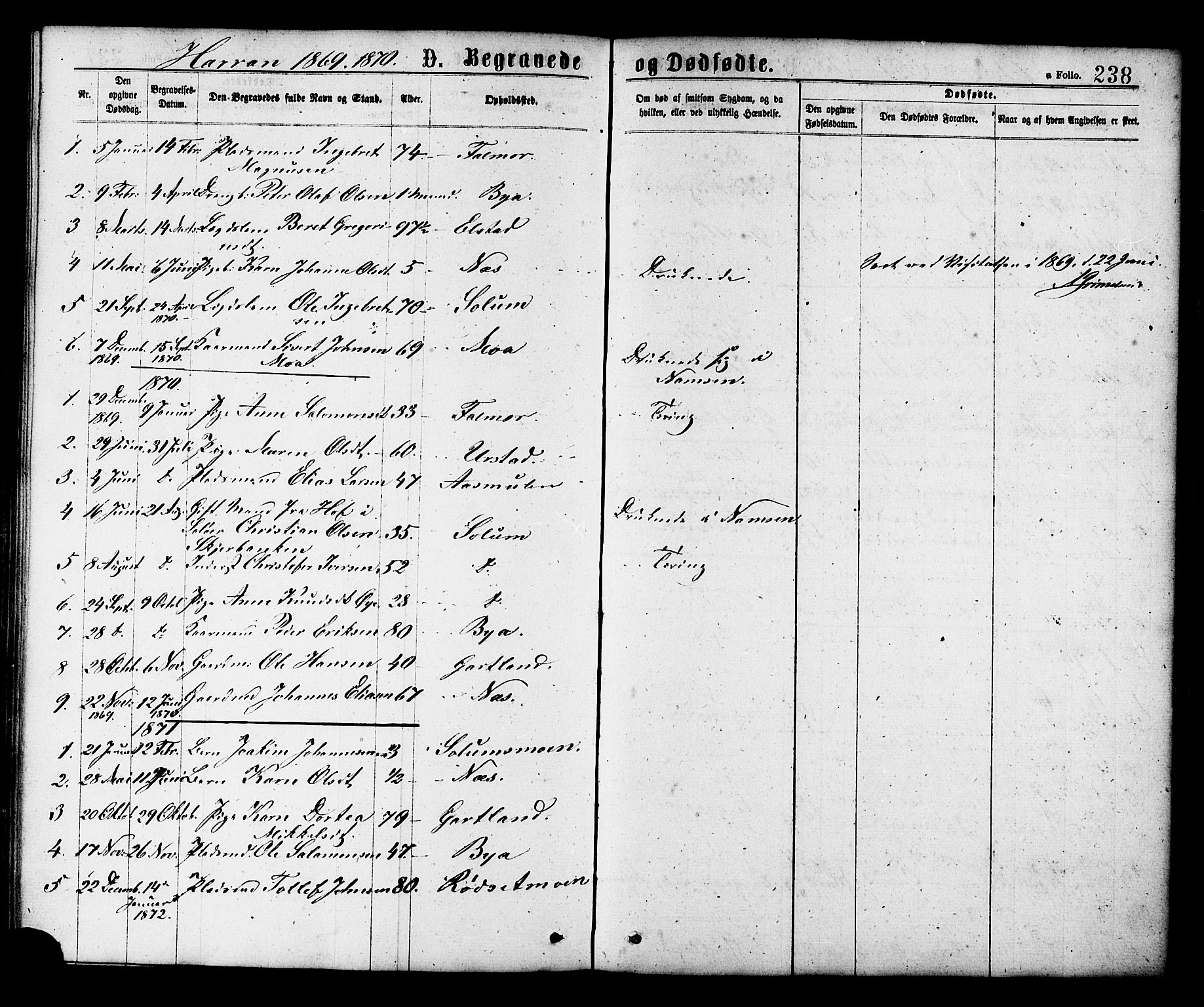 Ministerialprotokoller, klokkerbøker og fødselsregistre - Nord-Trøndelag, SAT/A-1458/758/L0516: Parish register (official) no. 758A03 /3, 1869-1879, p. 238