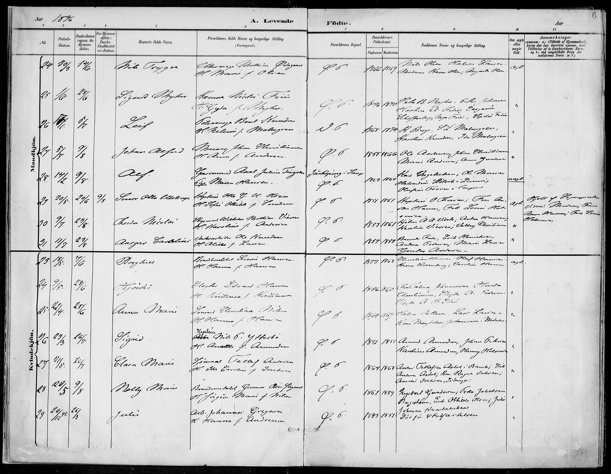 Porsgrunn kirkebøker , AV/SAKO-A-104/F/Fa/L0010: Parish register (official) no. 10, 1895-1919, p. 6