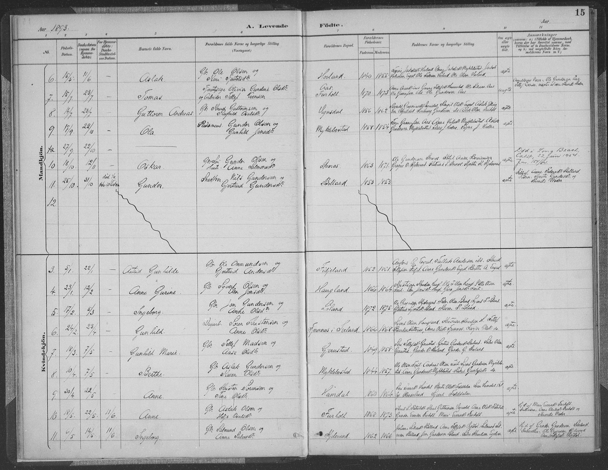 Herefoss sokneprestkontor, AV/SAK-1111-0019/F/Fa/Fab/L0004: Parish register (official) no. A 4, 1887-1909, p. 15