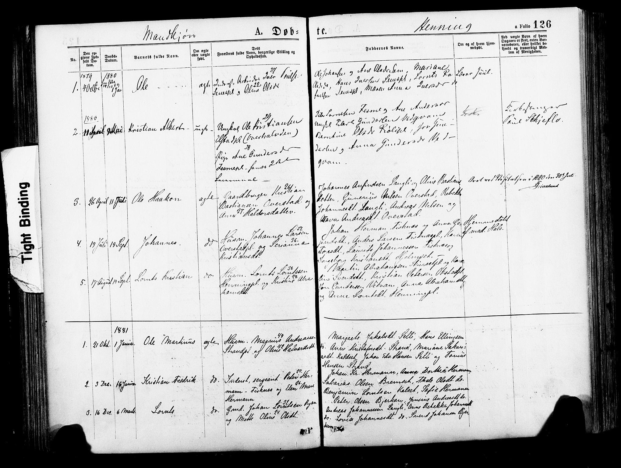 Ministerialprotokoller, klokkerbøker og fødselsregistre - Nord-Trøndelag, SAT/A-1458/735/L0348: Parish register (official) no. 735A09 /3, 1873-1883, p. 126