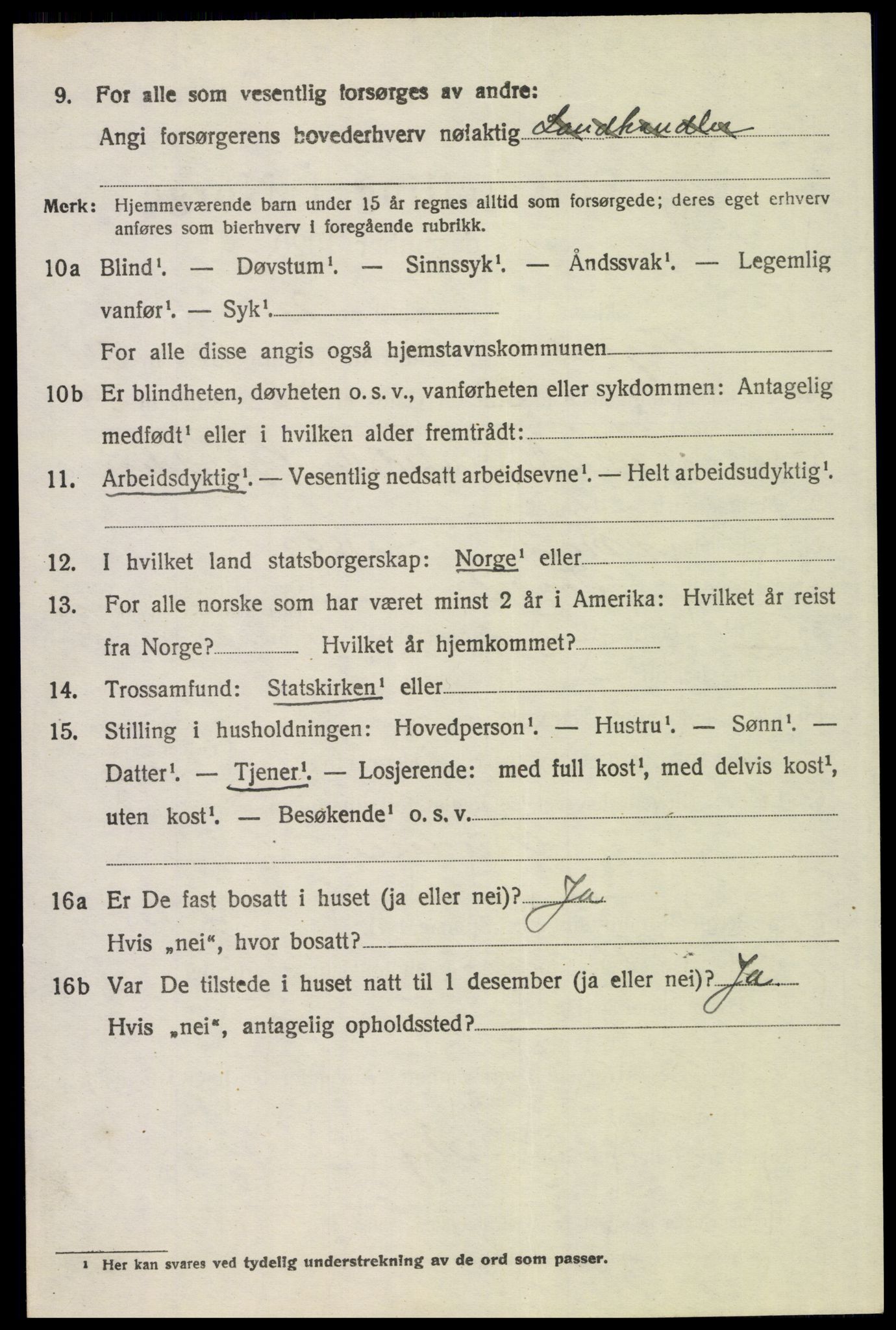 SAH, 1920 census for Trysil, 1920, p. 15500
