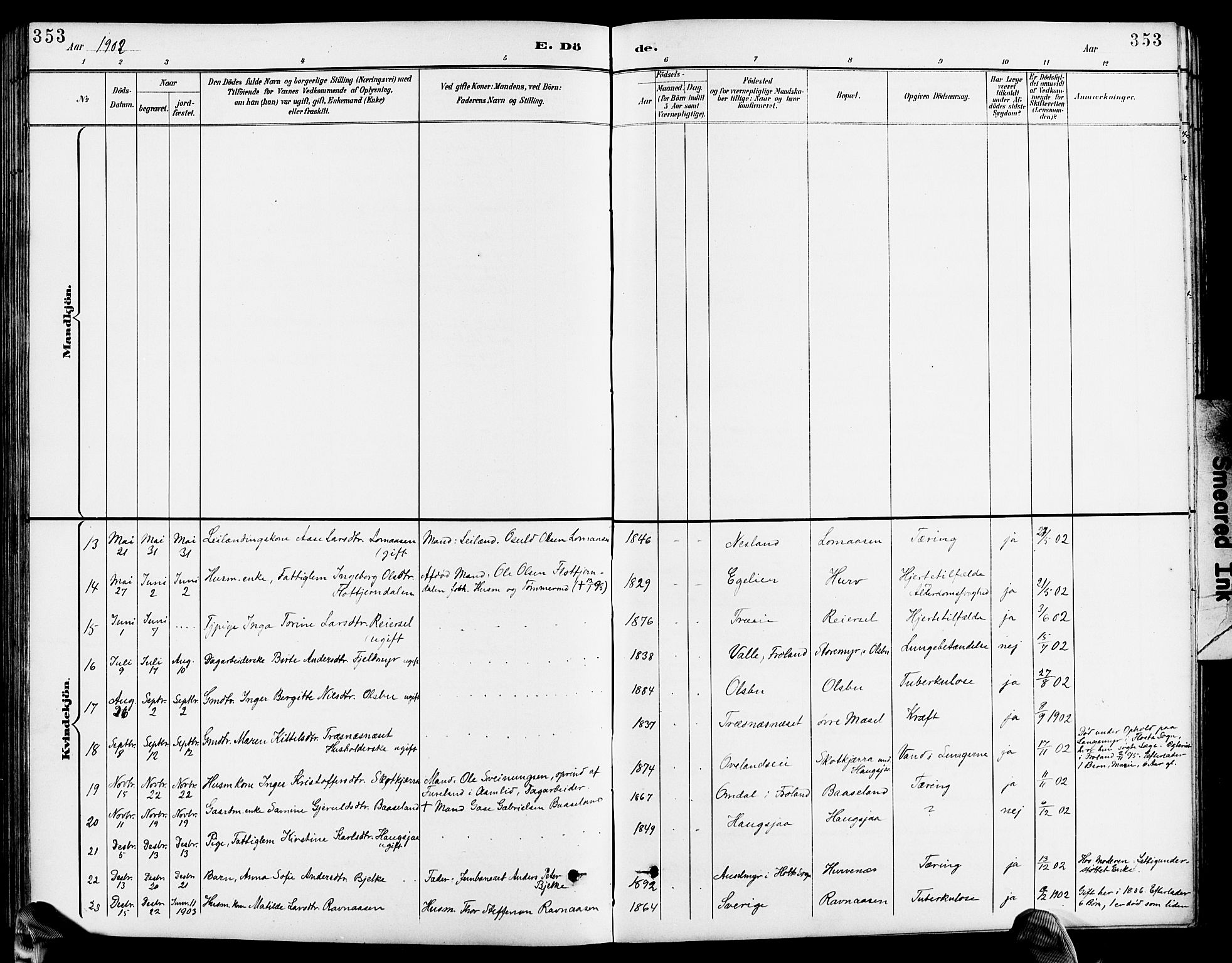 Froland sokneprestkontor, AV/SAK-1111-0013/F/Fb/L0010: Parish register (copy) no. B 10, 1893-1920, p. 353