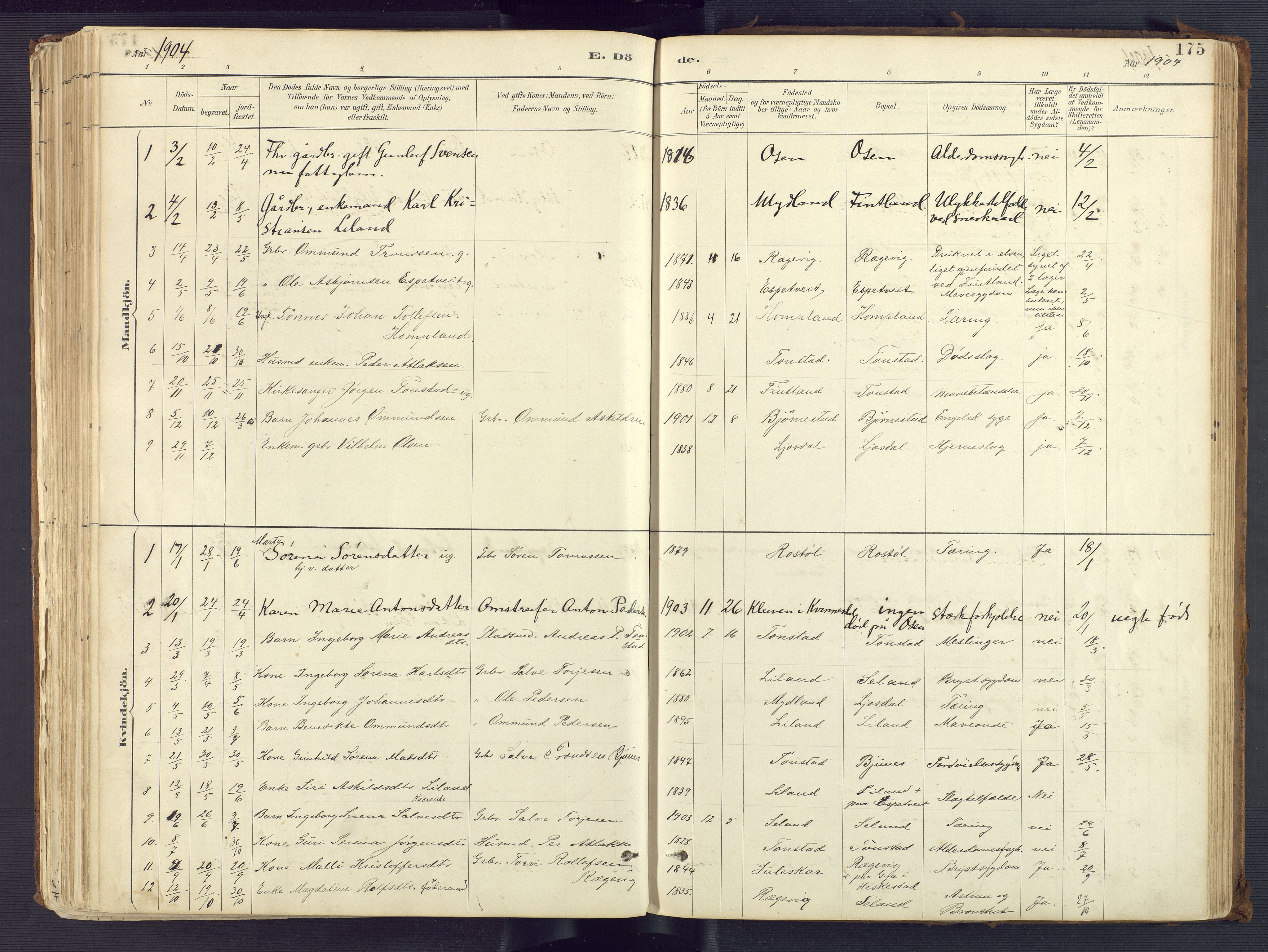 Sirdal sokneprestkontor, AV/SAK-1111-0036/F/Fa/Fab/L0004: Parish register (official) no. A 4, 1887-1919, p. 175