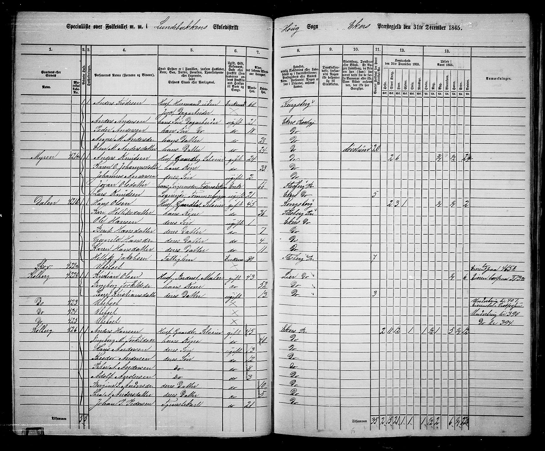 RA, 1865 census for Eiker, 1865, p. 99