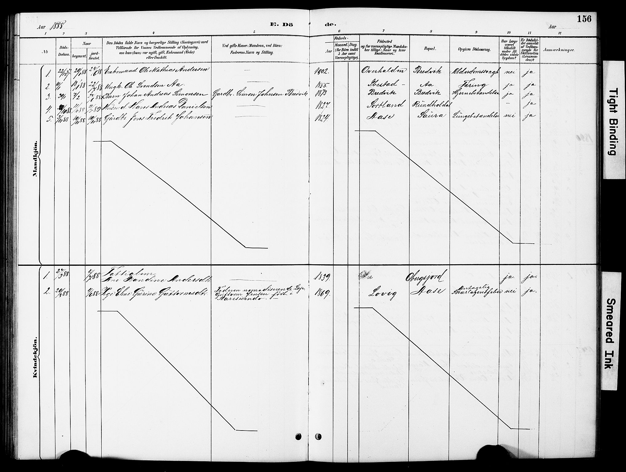 Ministerialprotokoller, klokkerbøker og fødselsregistre - Nordland, AV/SAT-A-1459/897/L1413: Parish register (copy) no. 897C03, 1887-1903, p. 156