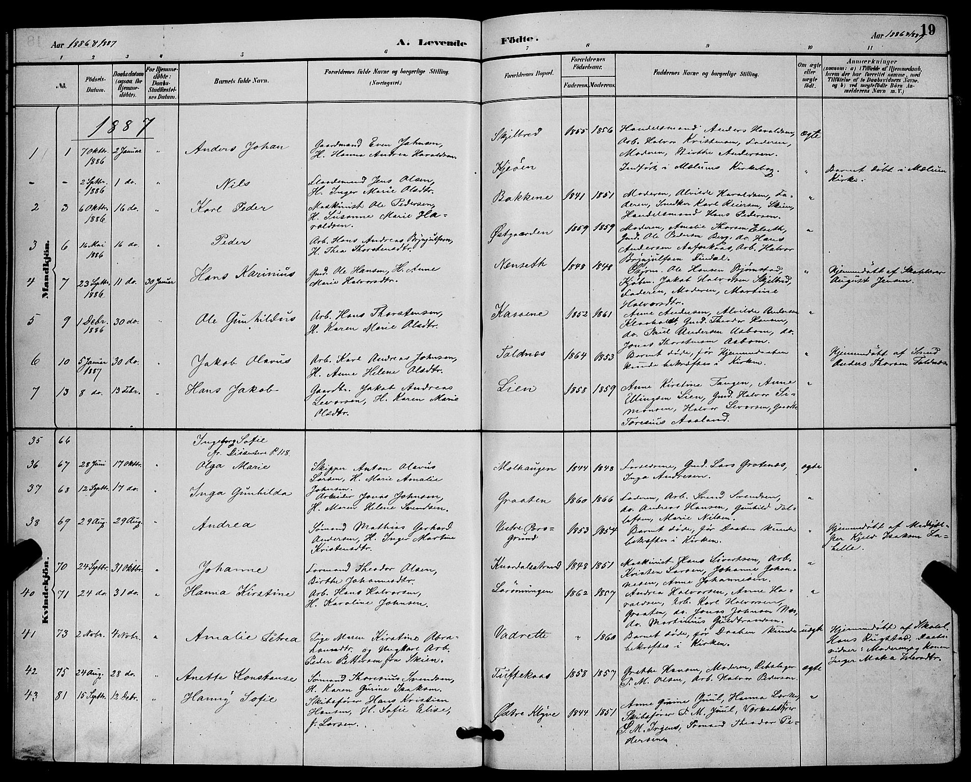 Solum kirkebøker, SAKO/A-306/G/Ga/L0007: Parish register (copy) no. I 7, 1884-1898, p. 19