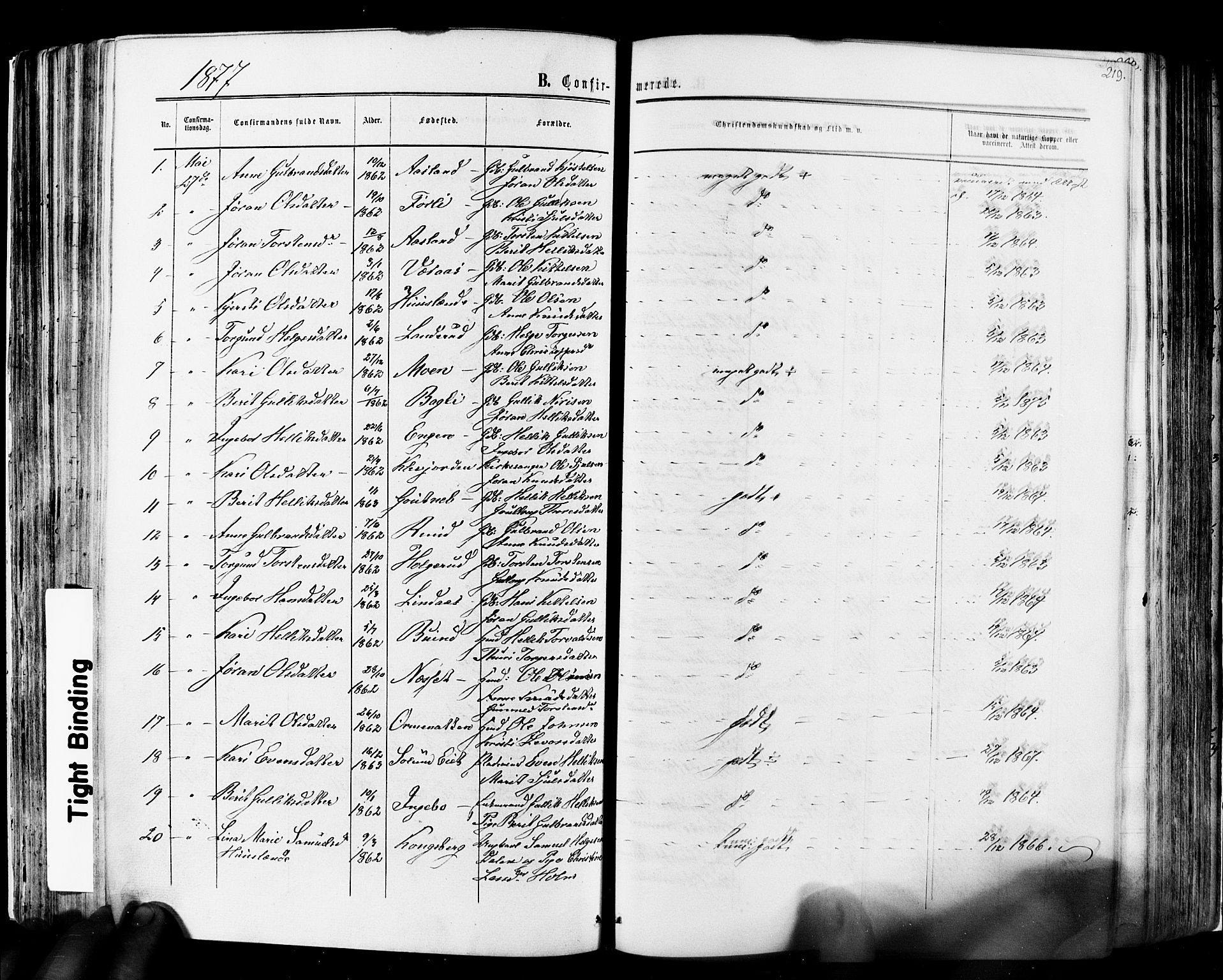 Flesberg kirkebøker, SAKO/A-18/F/Fa/L0007: Parish register (official) no. I 7, 1861-1878, p. 219