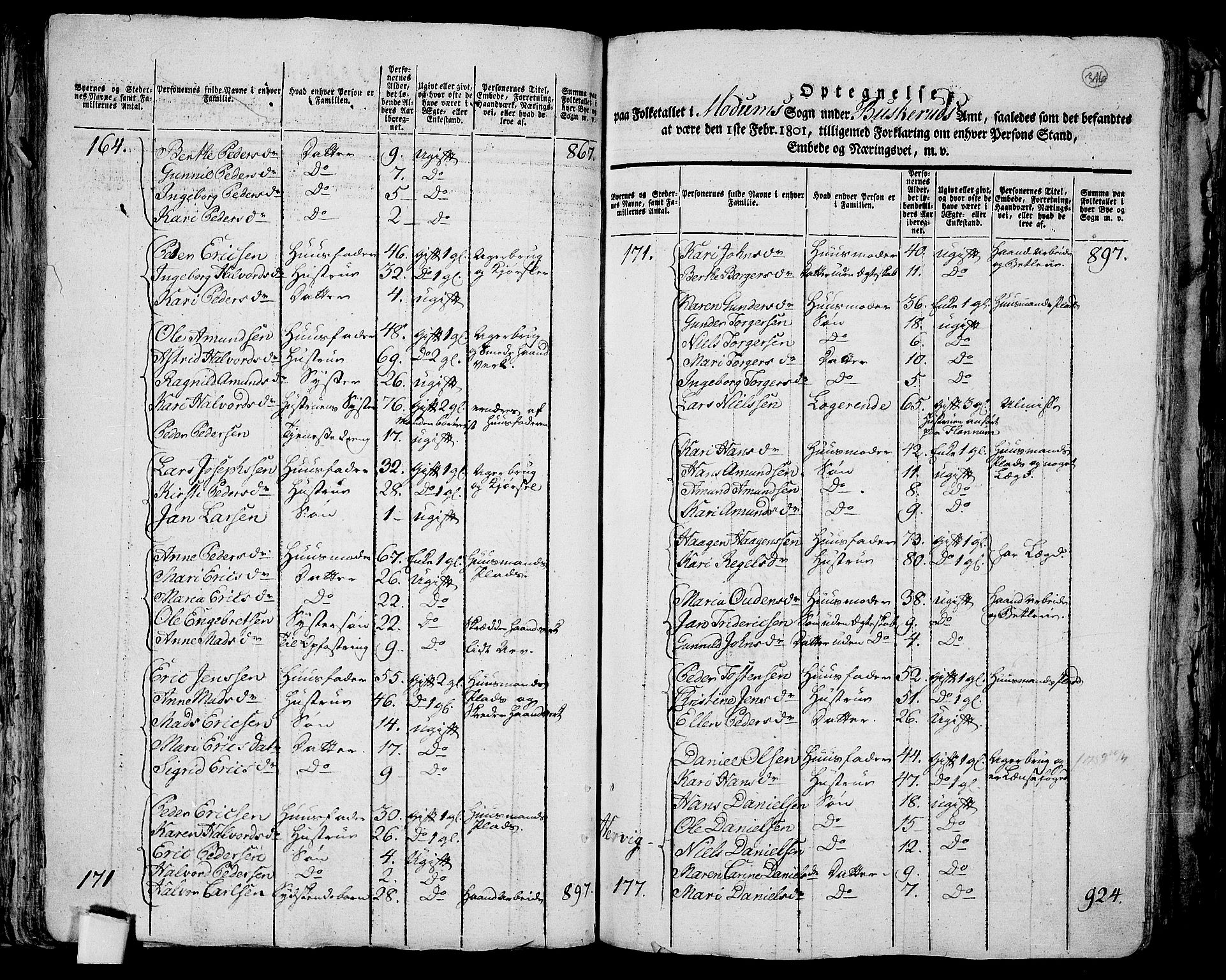 RA, 1801 census for 0623P Modum, 1801, p. 315b-316a