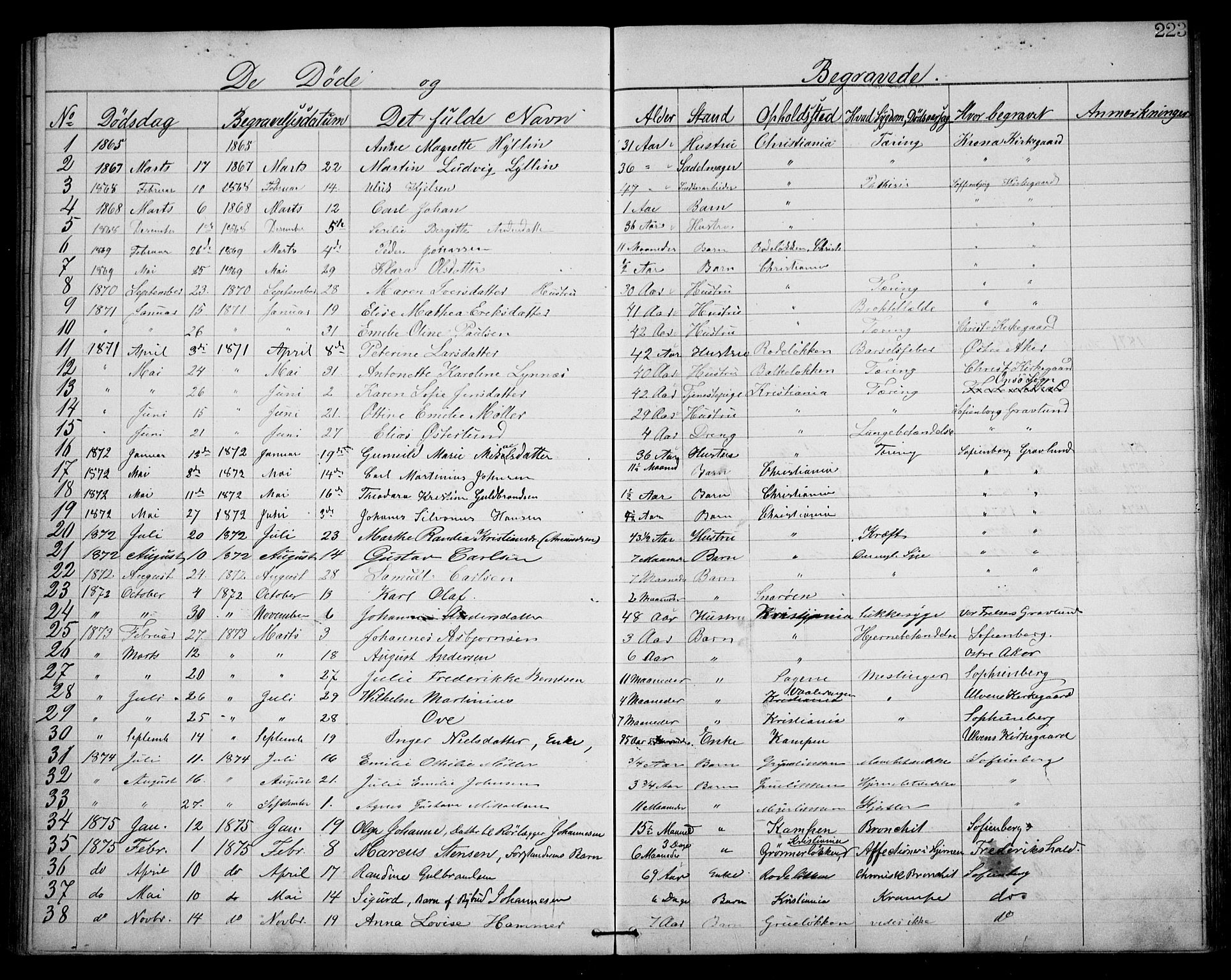 Første Metodistkirke Oslo -  menighetsprotokoller, SAO/PAO-0067/F/L0001: Dissenter register no. 1, 1865-1883, p. 223