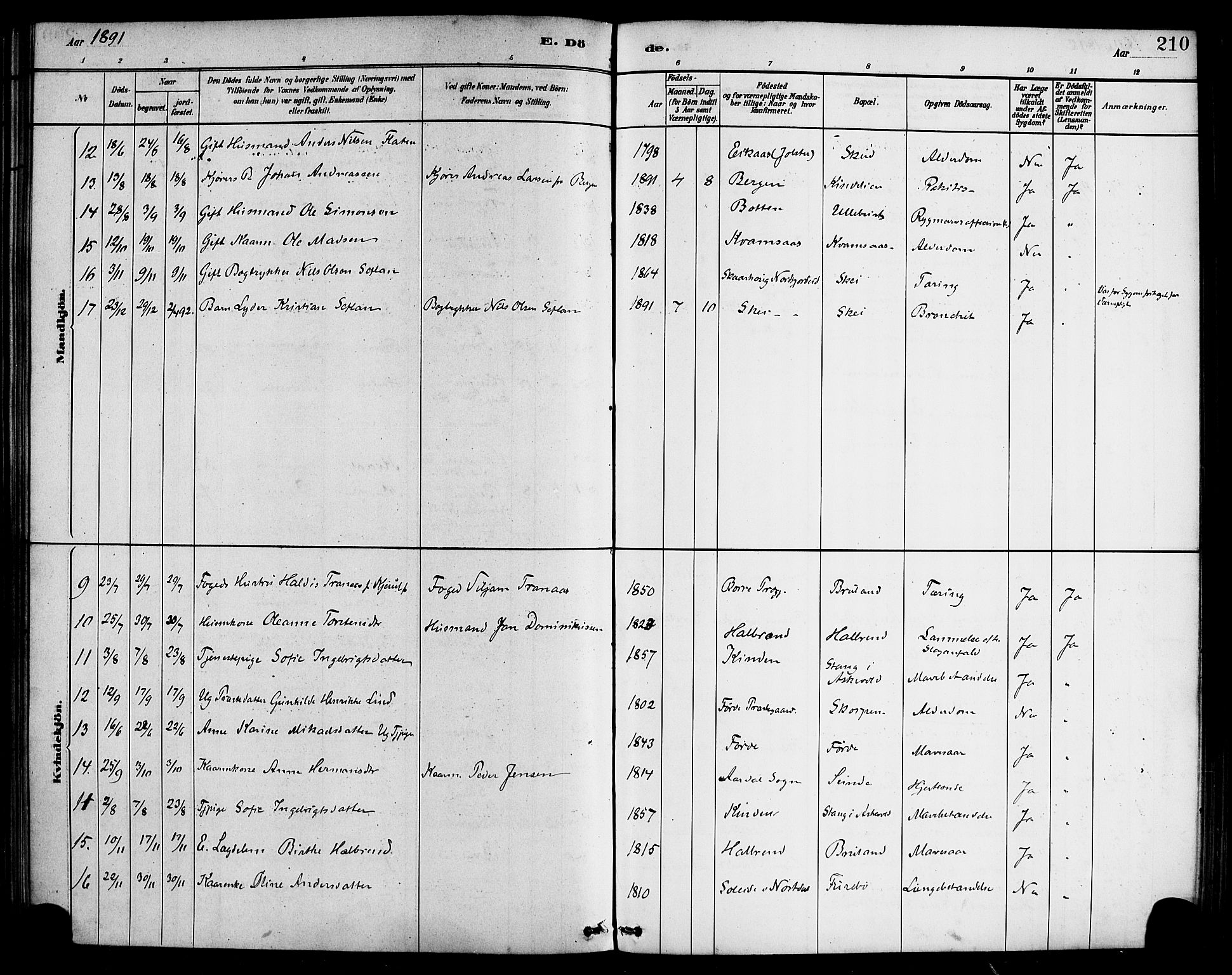 Førde sokneprestembete, SAB/A-79901/H/Haa/Haab/L0001: Parish register (official) no. B 1, 1880-1898, p. 210