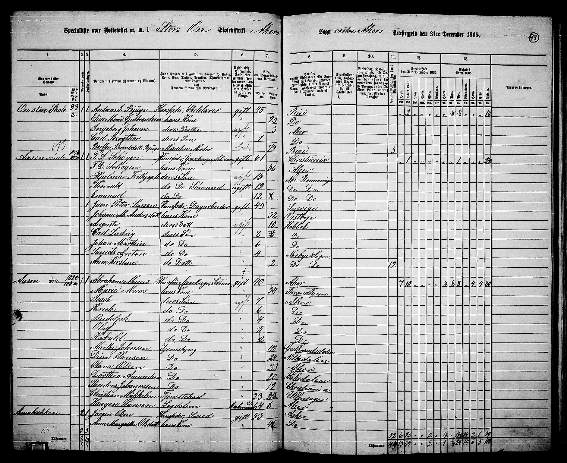 RA, 1865 census for Vestre Aker, 1865, p. 261