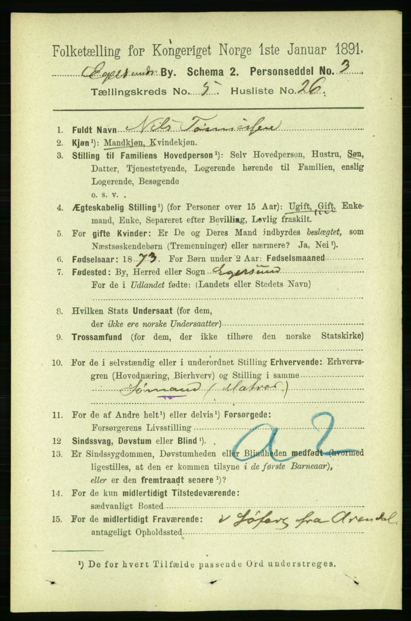 RA, 1891 census for 1101 Egersund, 1891, p. 974