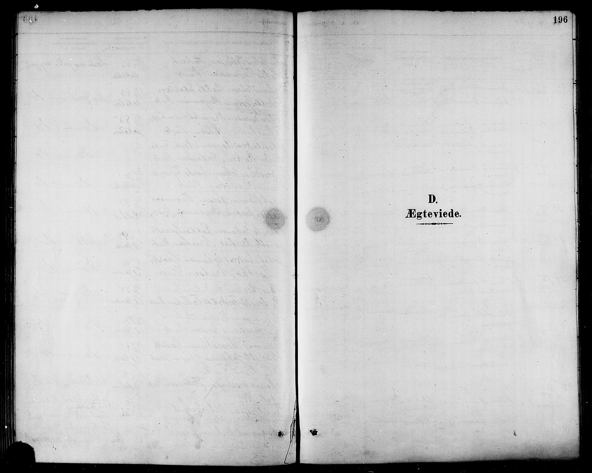 Ministerialprotokoller, klokkerbøker og fødselsregistre - Nordland, SAT/A-1459/874/L1060: Parish register (official) no. 874A04, 1890-1899, p. 196