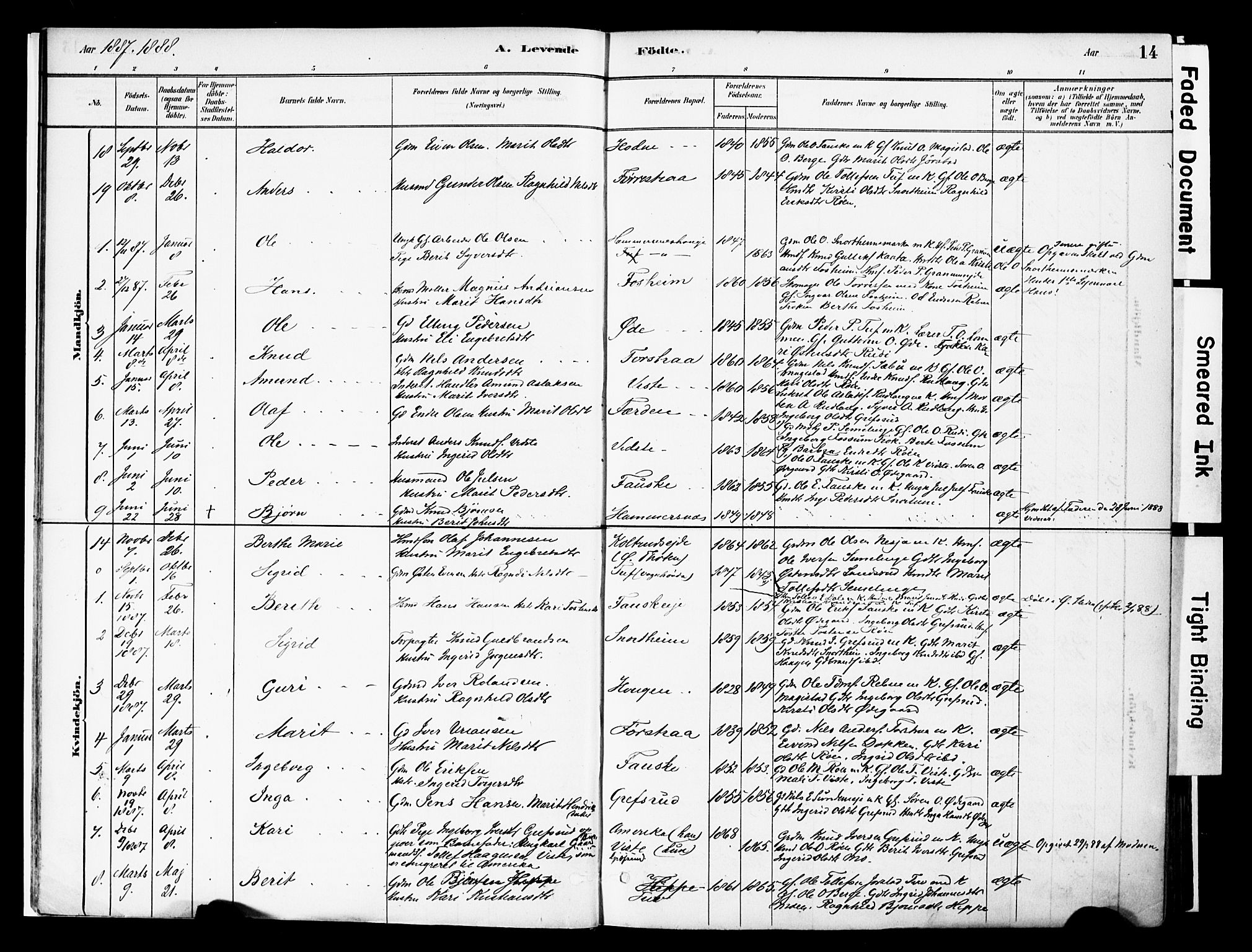 Vestre Slidre prestekontor, SAH/PREST-136/H/Ha/Haa/L0006: Parish register (official) no. 6, 1881-1912, p. 14