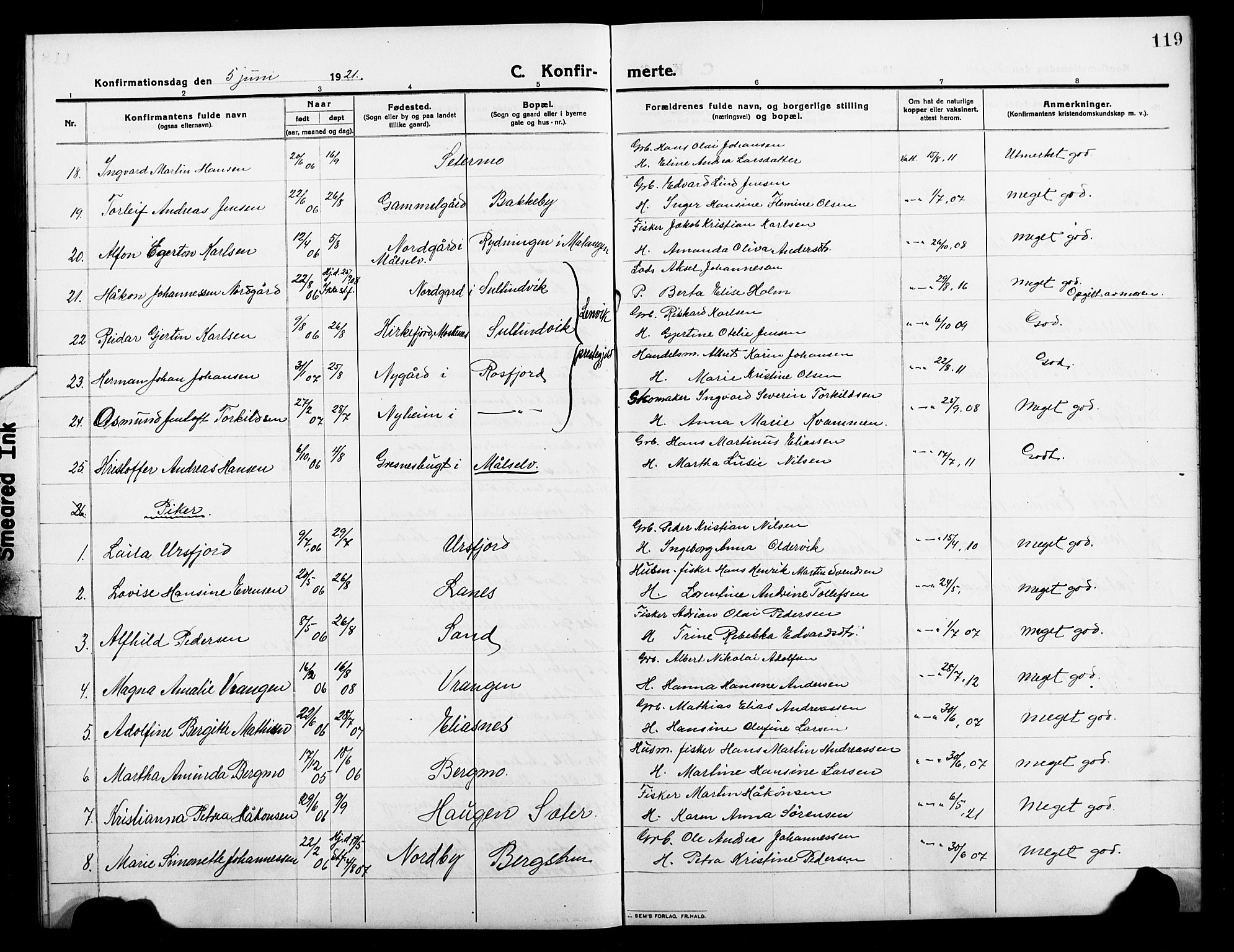 Balsfjord sokneprestembete, AV/SATØ-S-1303/G/Gab/L0004klokker: Parish register (copy) no. 4, 1910-1926, p. 119