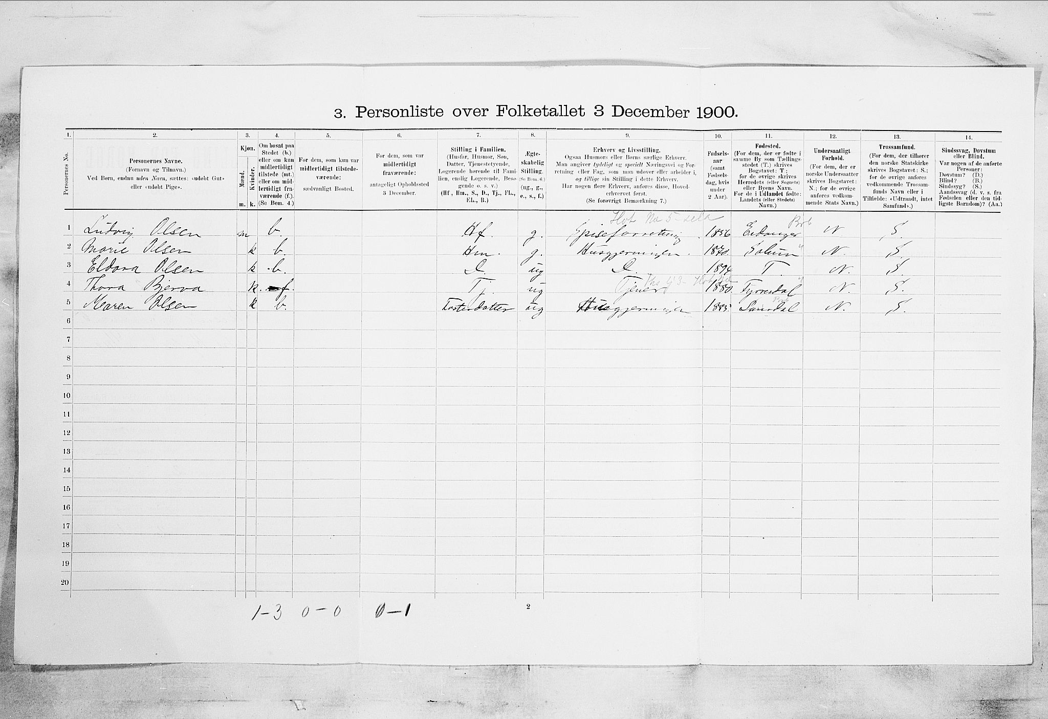 SAKO, 1900 census for Skien, 1900, p. 781