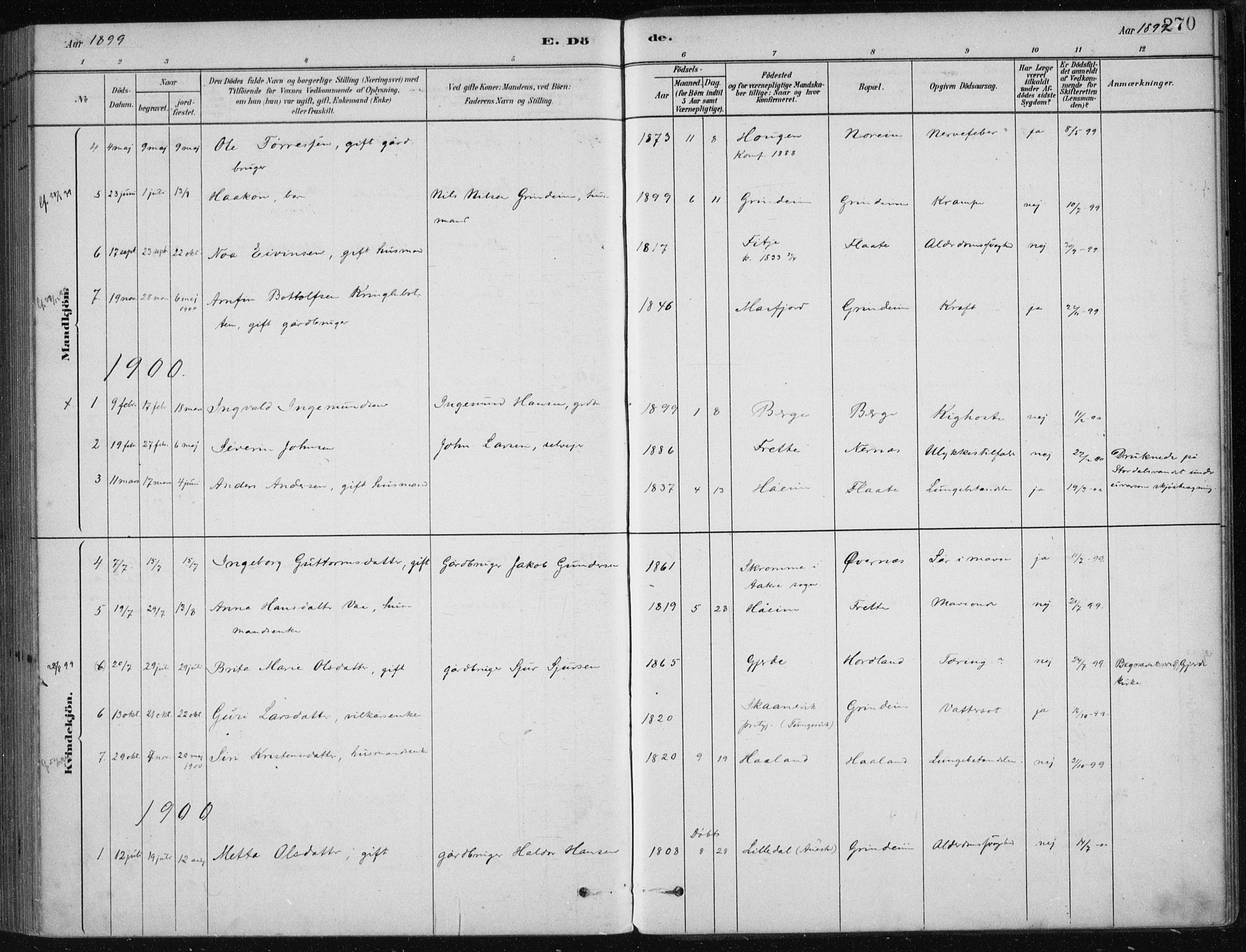 Etne sokneprestembete, AV/SAB-A-75001/H/Haa: Parish register (official) no. D  1, 1879-1919, p. 270