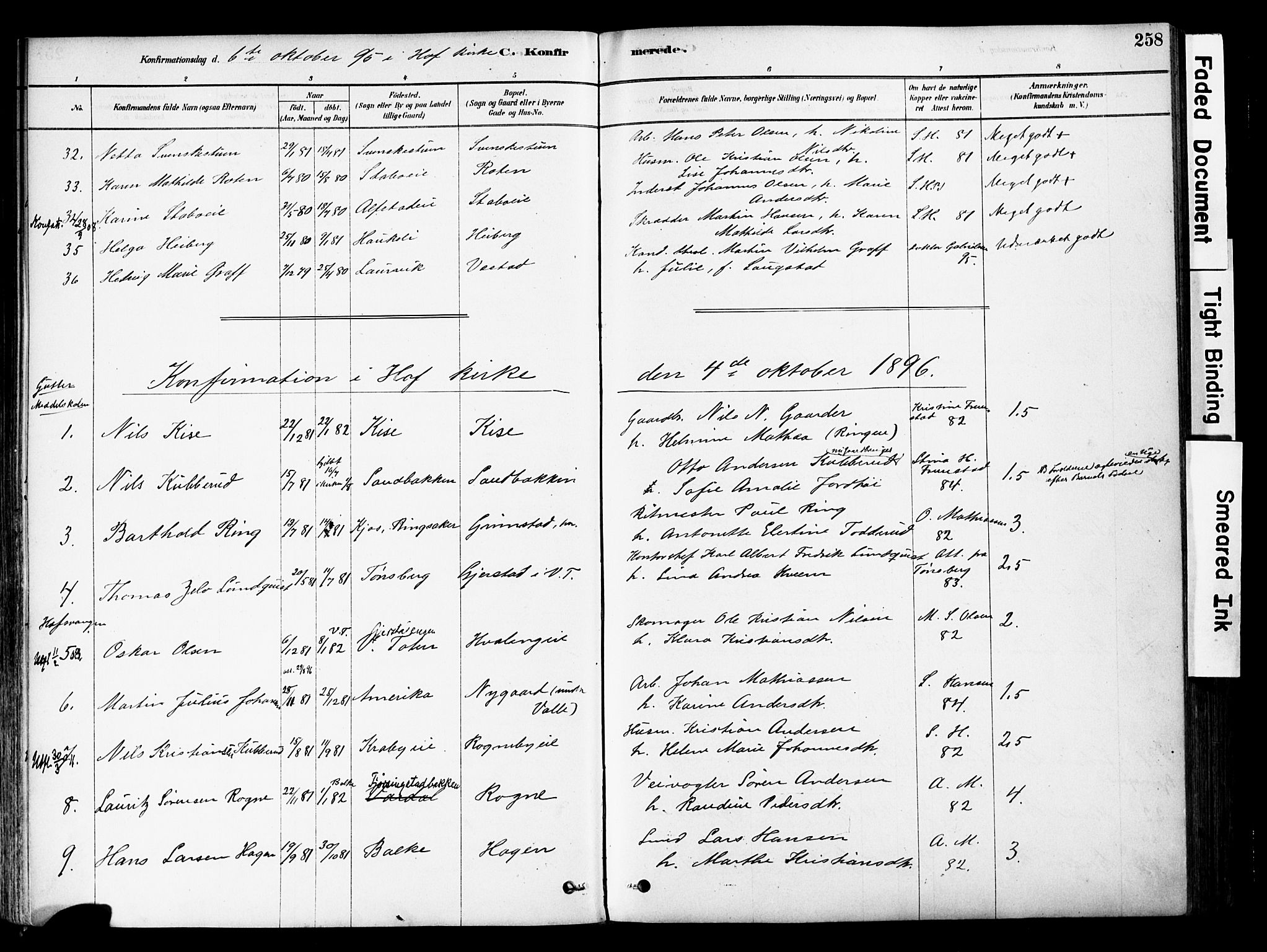 Østre Toten prestekontor, AV/SAH-PREST-104/H/Ha/Haa/L0006: Parish register (official) no. 6 /1, 1878-1896, p. 258