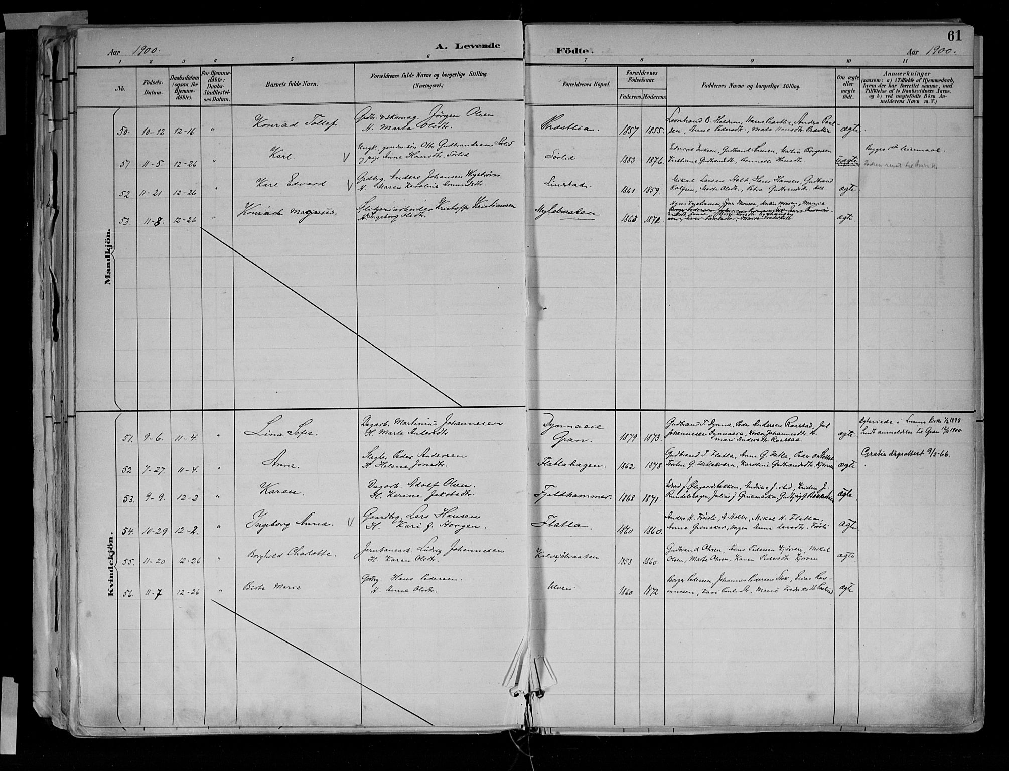 Jevnaker prestekontor, SAH/PREST-116/H/Ha/Haa/L0010: Parish register (official) no. 10, 1891-1906, p. 61