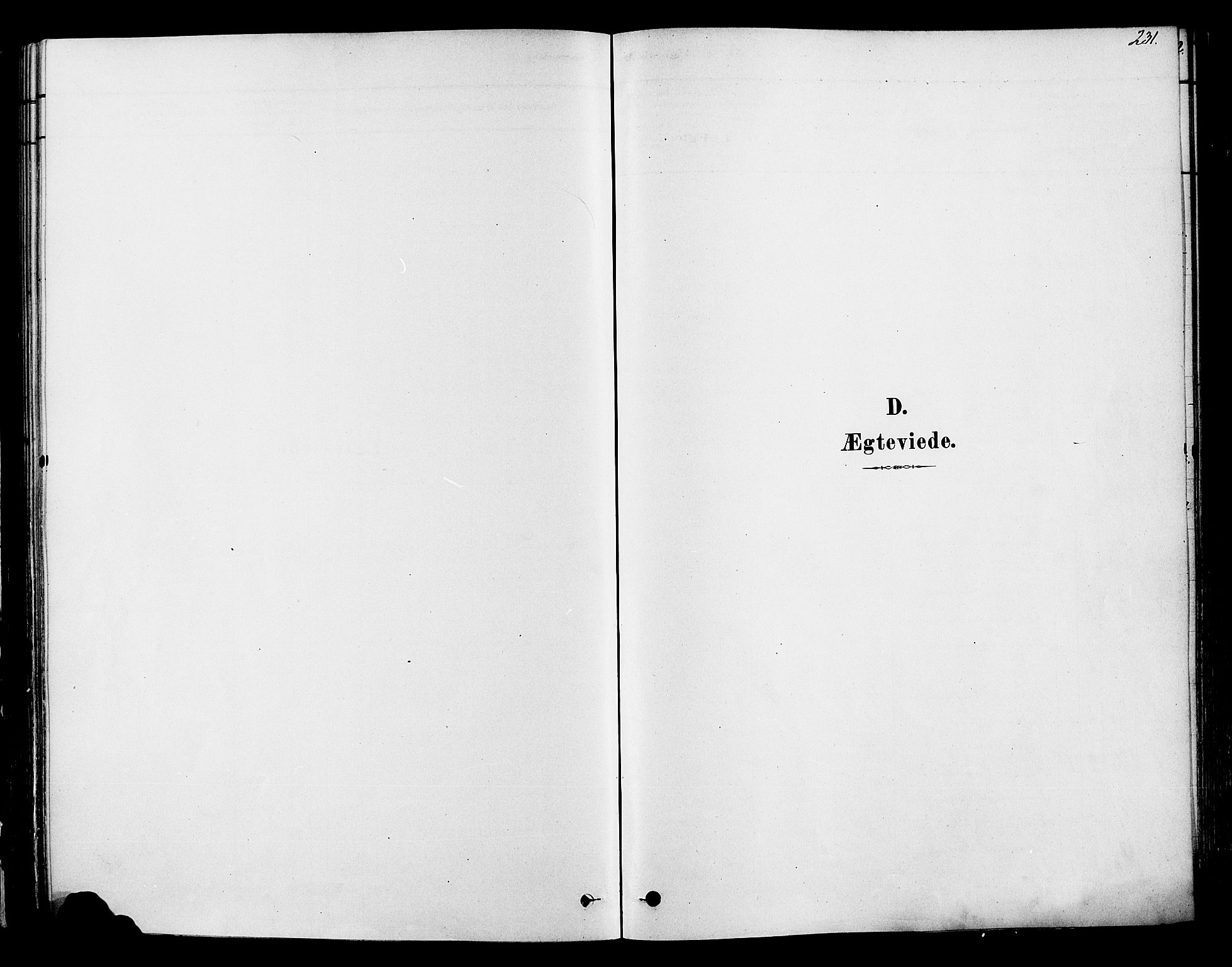 Ringsaker prestekontor, SAH/PREST-014/K/Ka/L0012: Parish register (official) no. 12, 1879-1890, p. 231