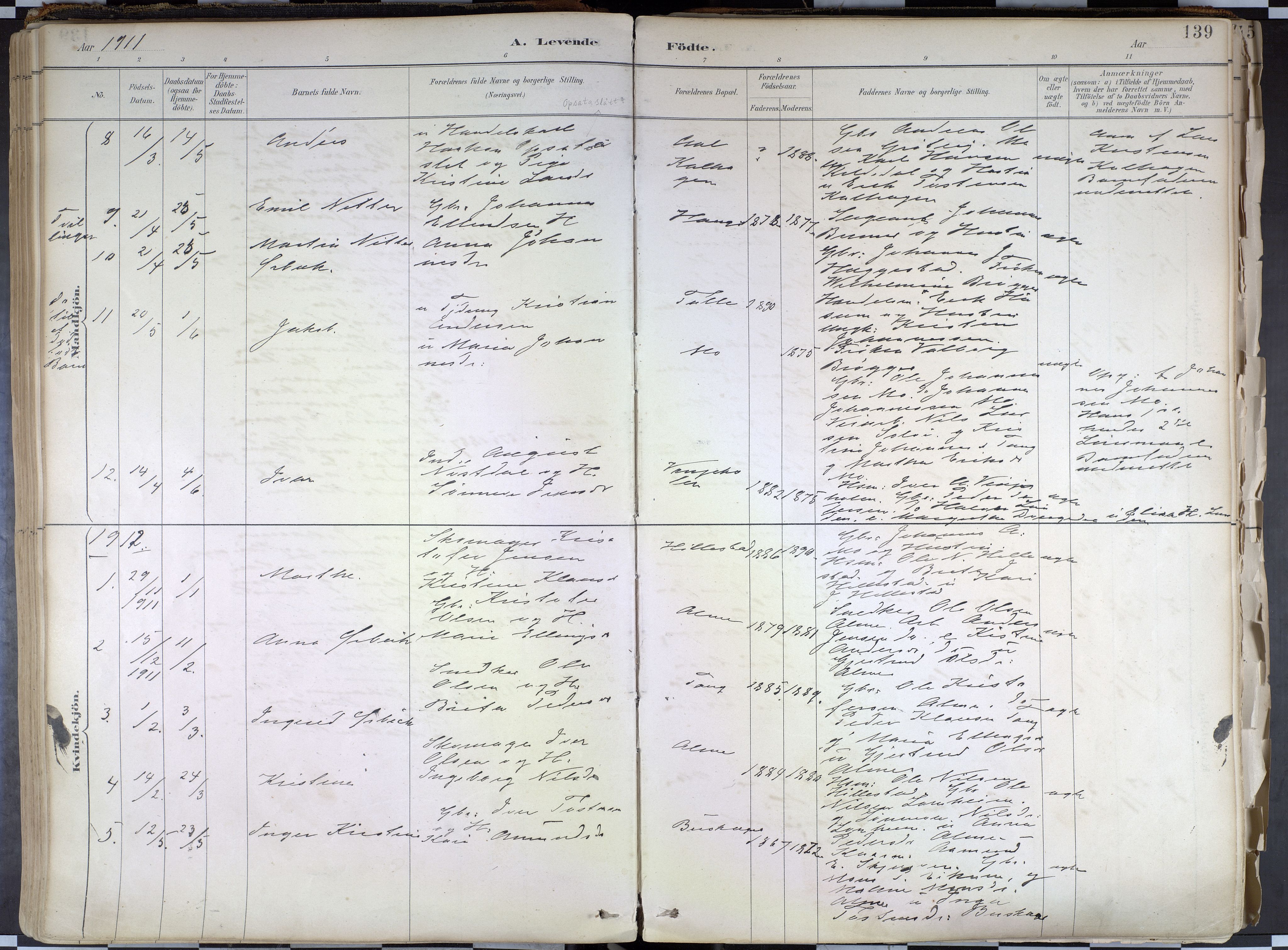 Hafslo sokneprestembete, SAB/A-80301/H/Haa/Haab/L0001: Parish register (official) no. B 1, 1886-1945, p. 139