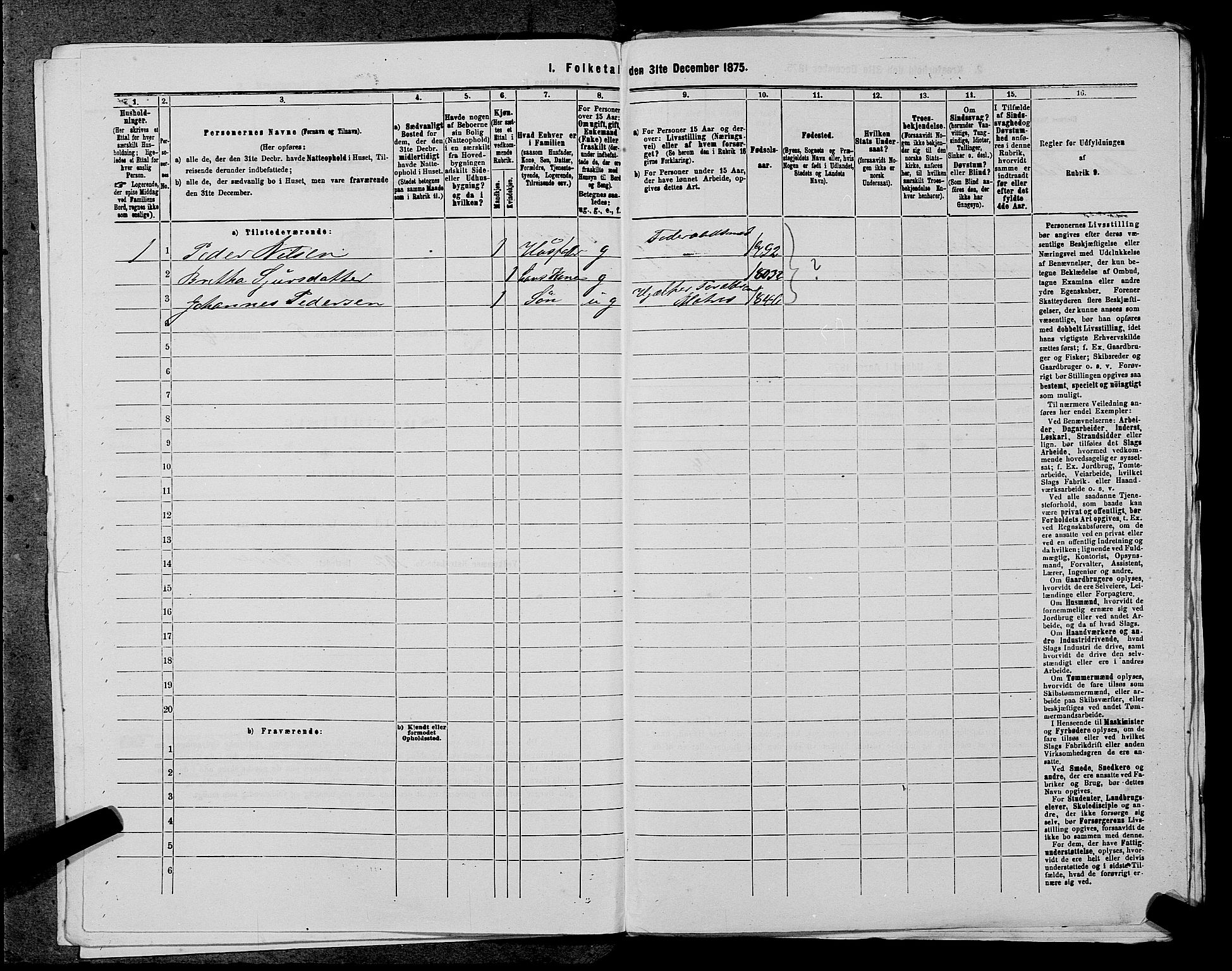 SAST, 1875 census for 1138P Jelsa, 1875, p. 418