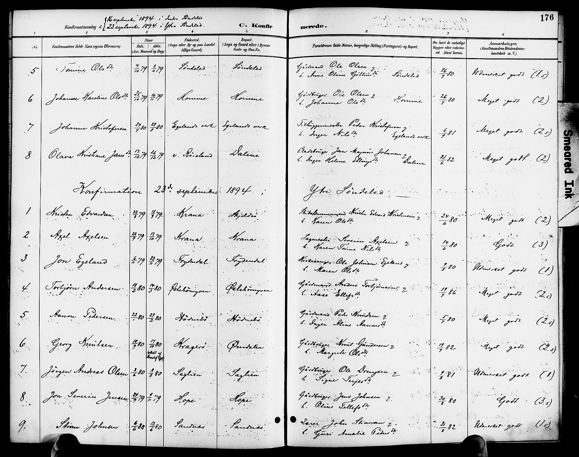 Søndeled sokneprestkontor, AV/SAK-1111-0038/F/Fa/L0005: Parish register (official) no. A 5, 1889-1899, p. 176