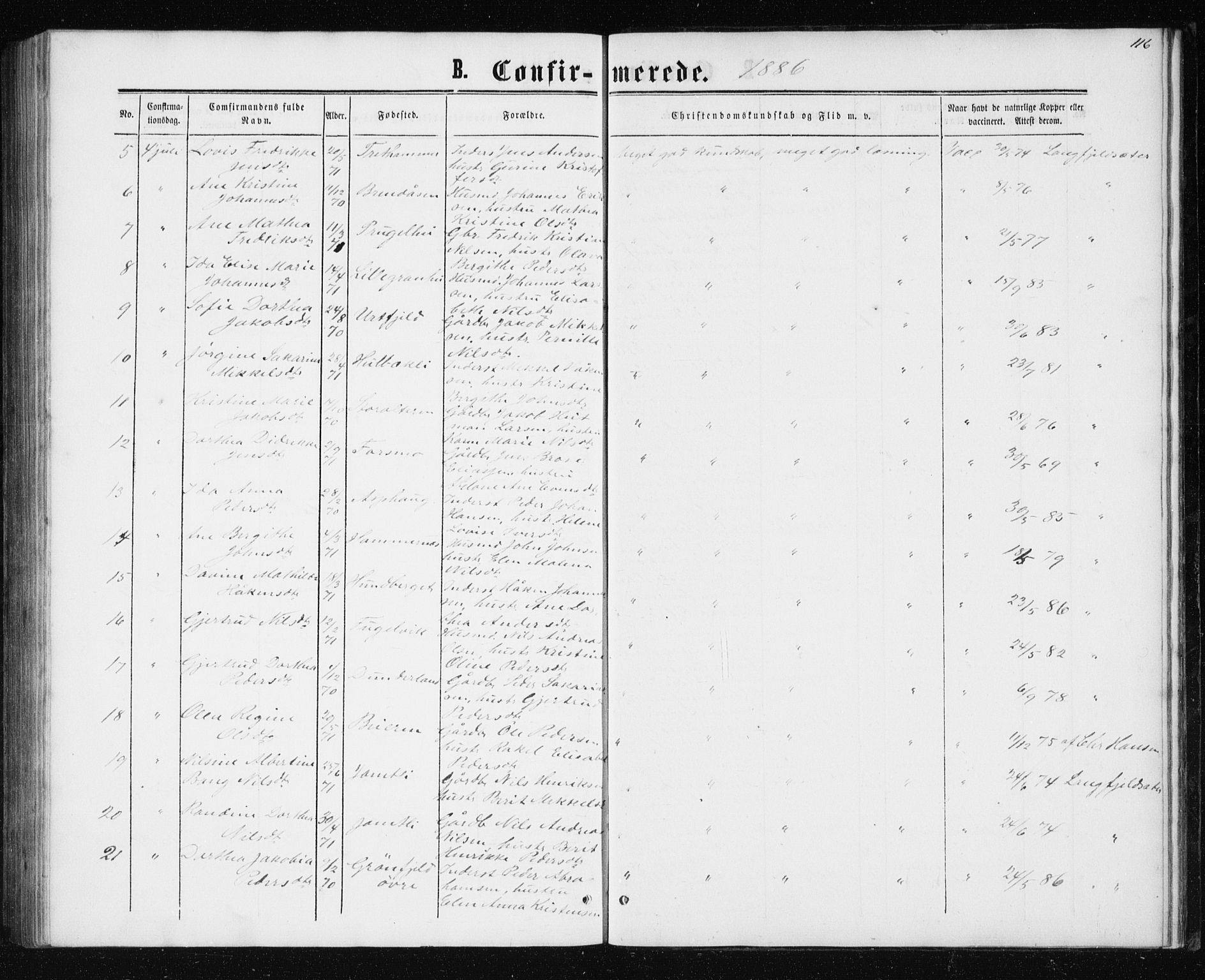 Ministerialprotokoller, klokkerbøker og fødselsregistre - Nordland, AV/SAT-A-1459/827/L0416: Parish register (copy) no. 827C05, 1865-1886, p. 116