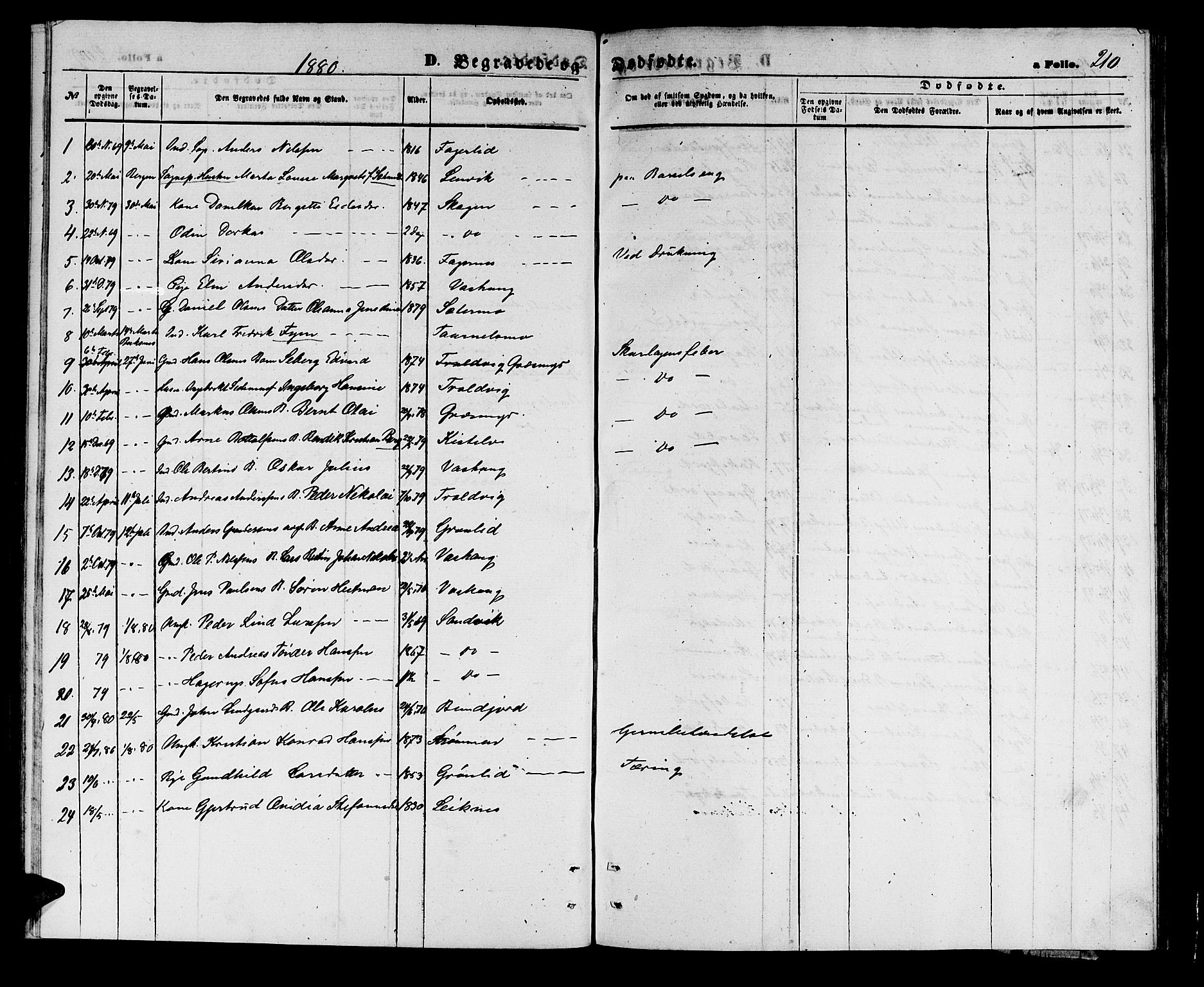 Lenvik sokneprestembete, SATØ/S-1310/H/Ha/Hab/L0005klokker: Parish register (copy) no. 5, 1870-1880, p. 210