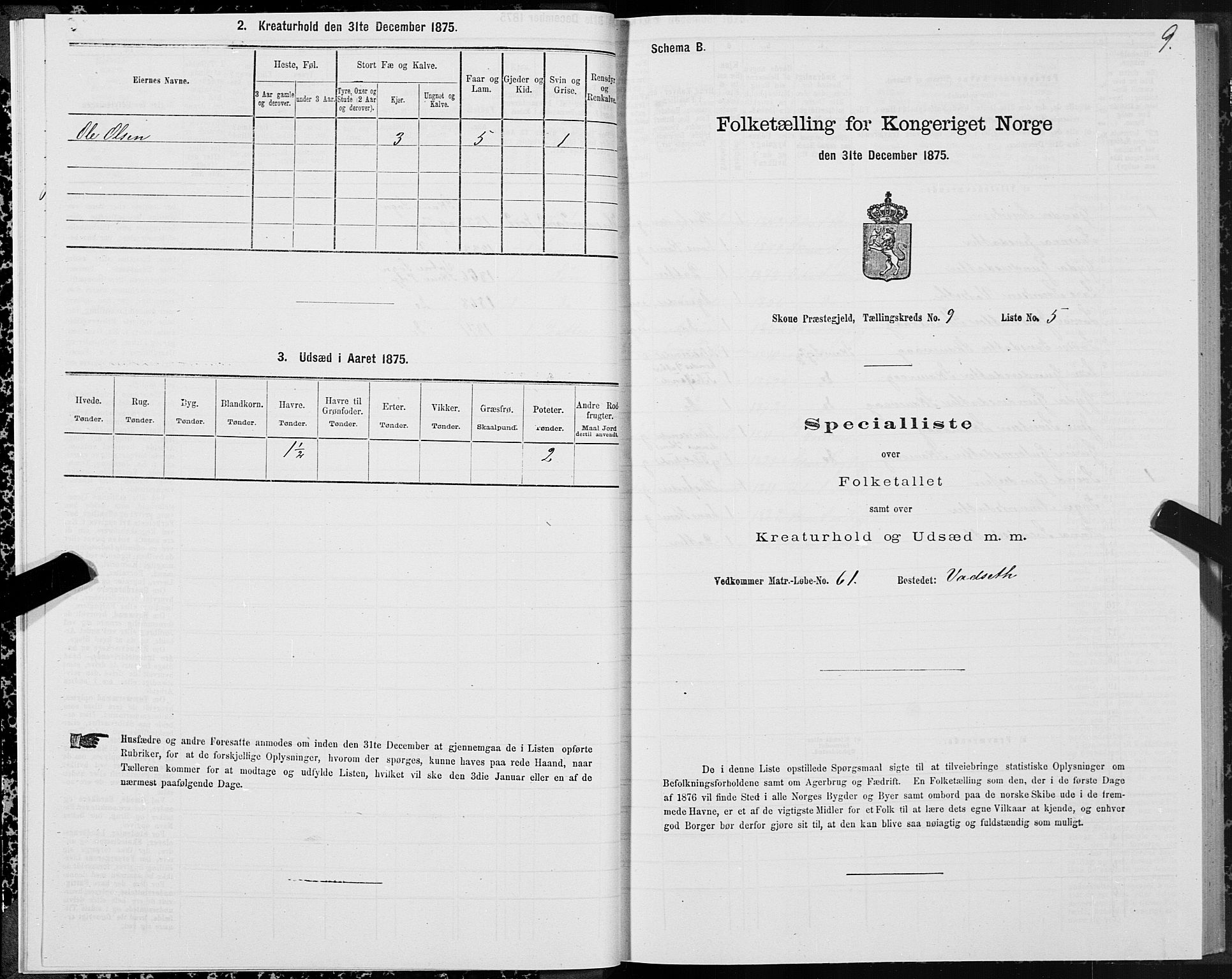 SAT, 1875 census for 1529P Skodje, 1875, p. 3009