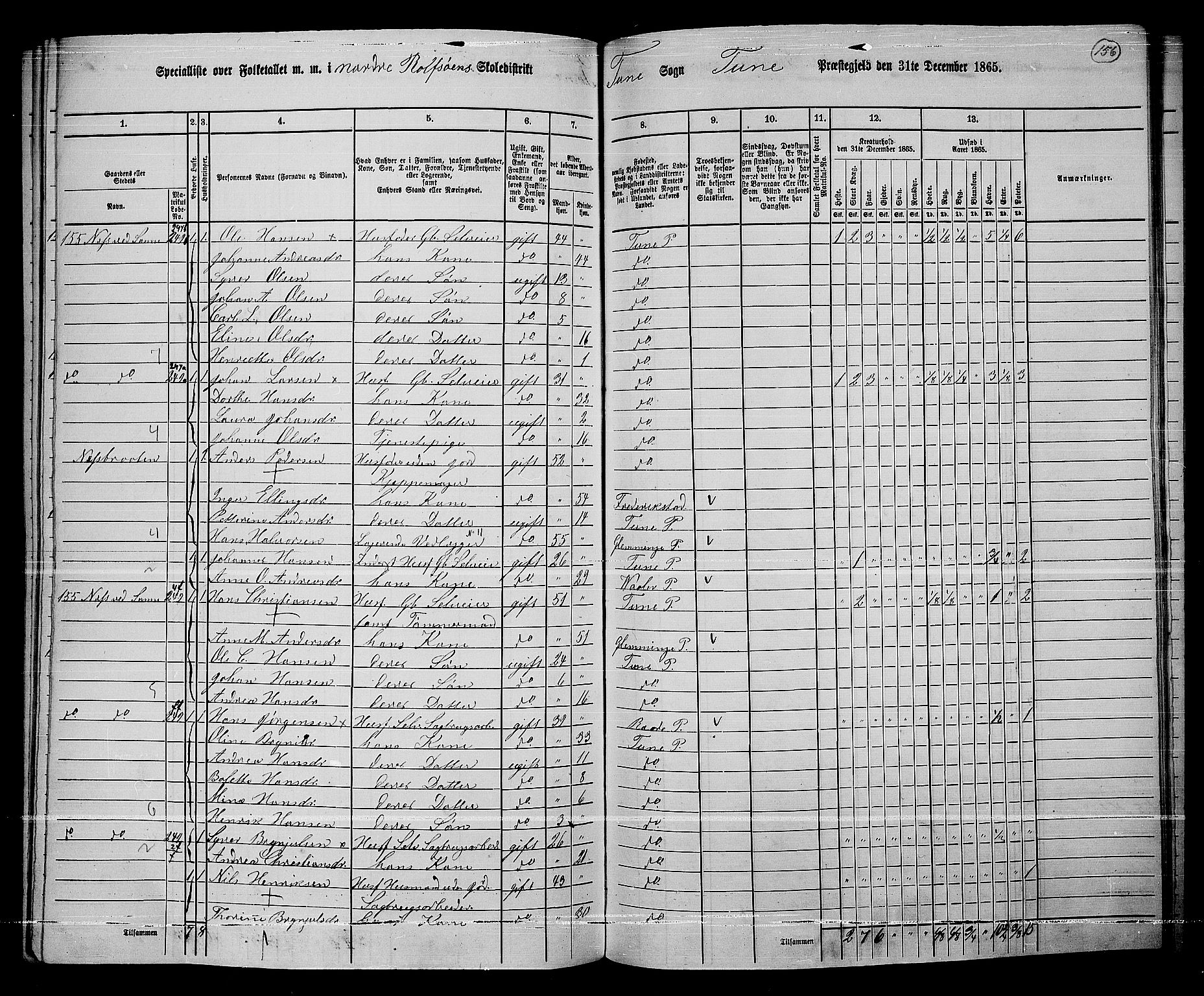 RA, 1865 census for Tune, 1865, p. 235