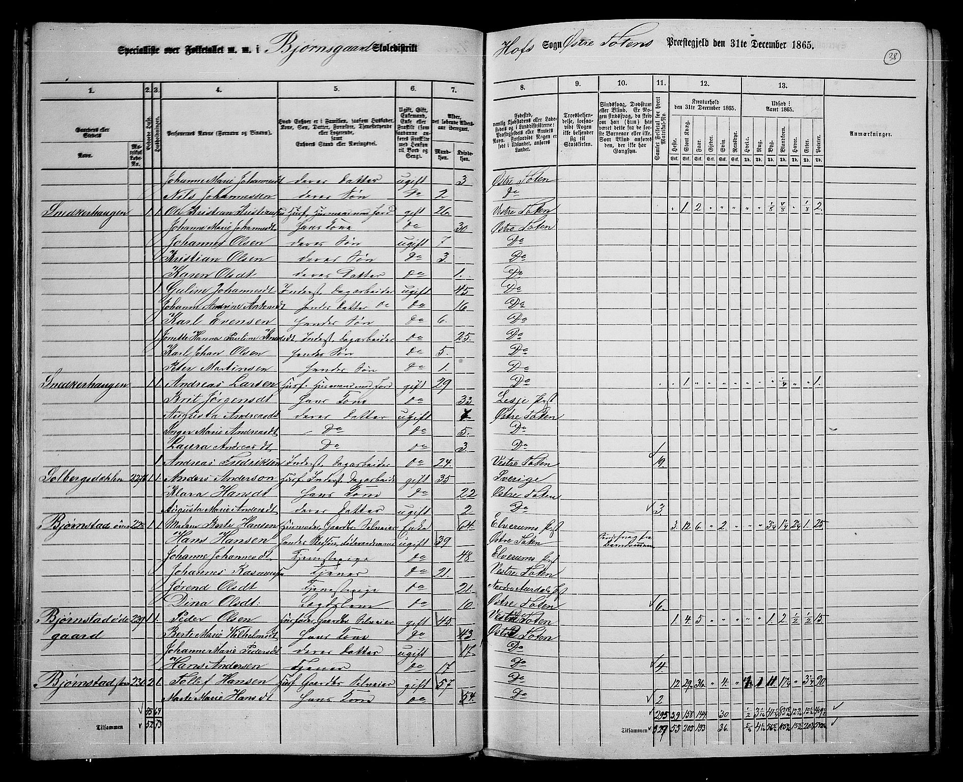 RA, 1865 census for Østre Toten, 1865, p. 167