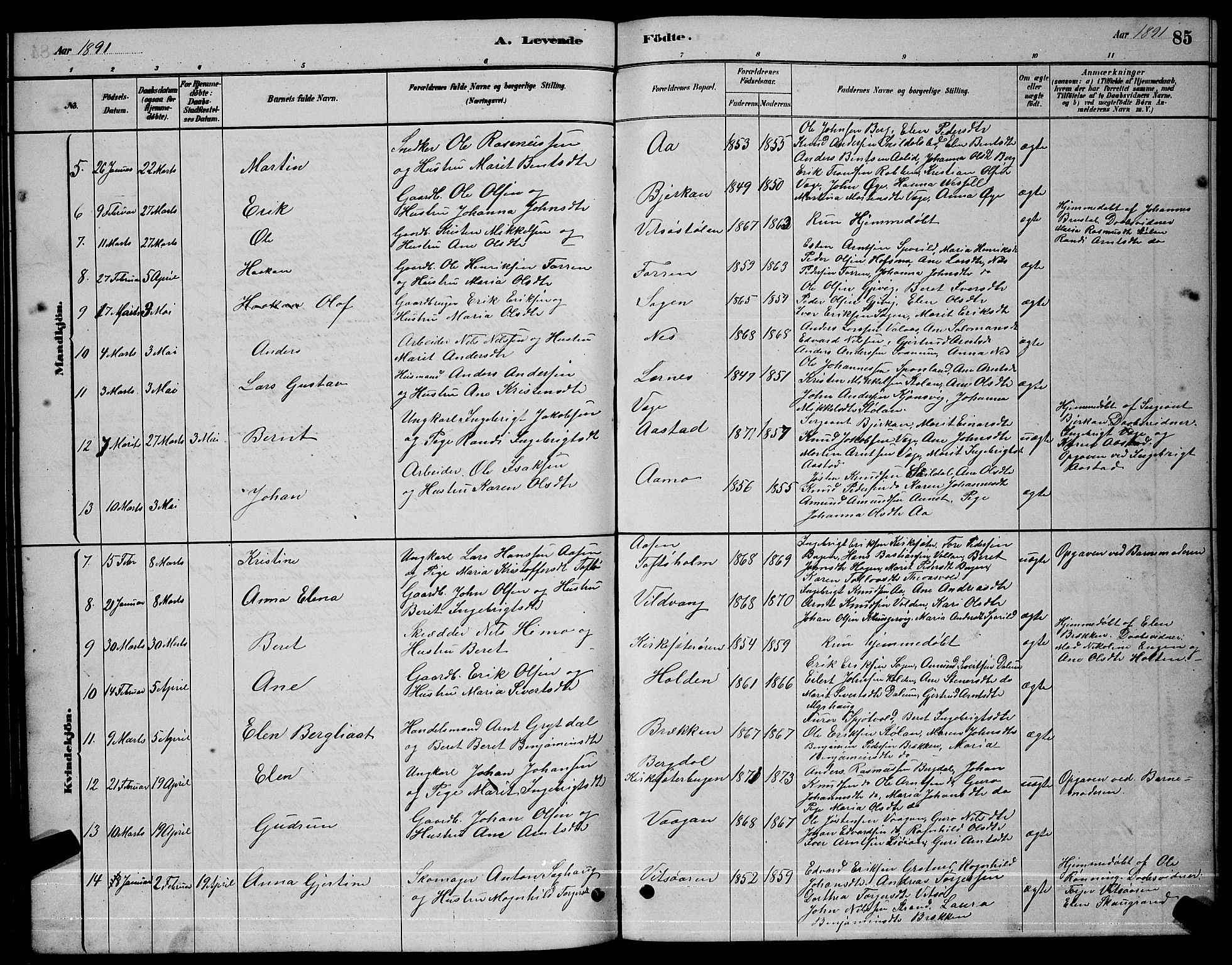 Ministerialprotokoller, klokkerbøker og fødselsregistre - Sør-Trøndelag, SAT/A-1456/630/L0504: Parish register (copy) no. 630C02, 1879-1898, p. 85