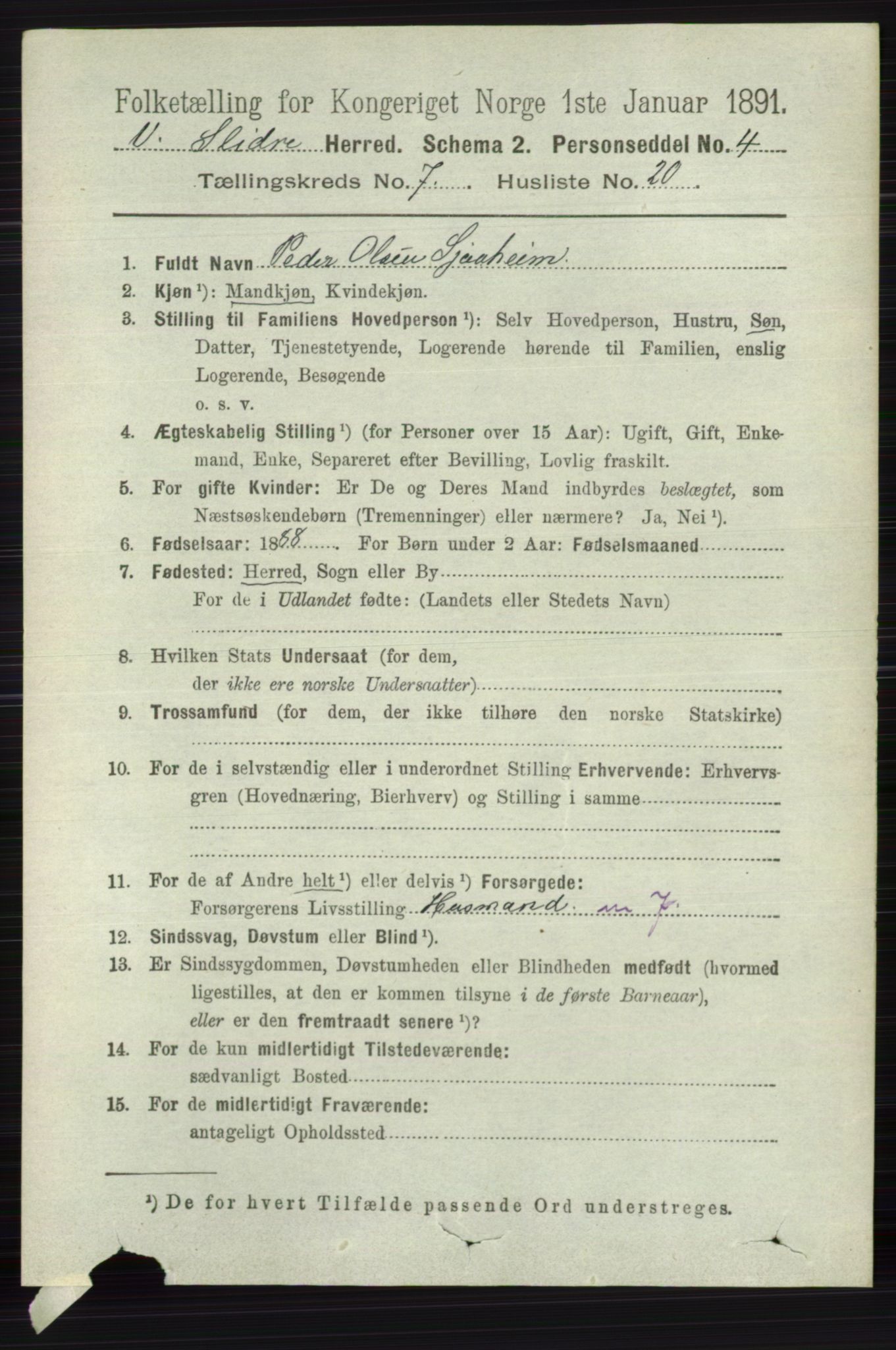 RA, 1891 census for 0543 Vestre Slidre, 1891, p. 2700