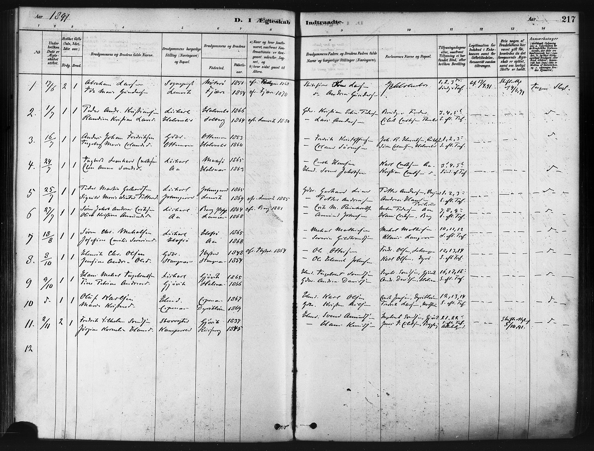 Tranøy sokneprestkontor, SATØ/S-1313/I/Ia/Iaa/L0009kirke: Parish register (official) no. 9, 1878-1904, p. 217
