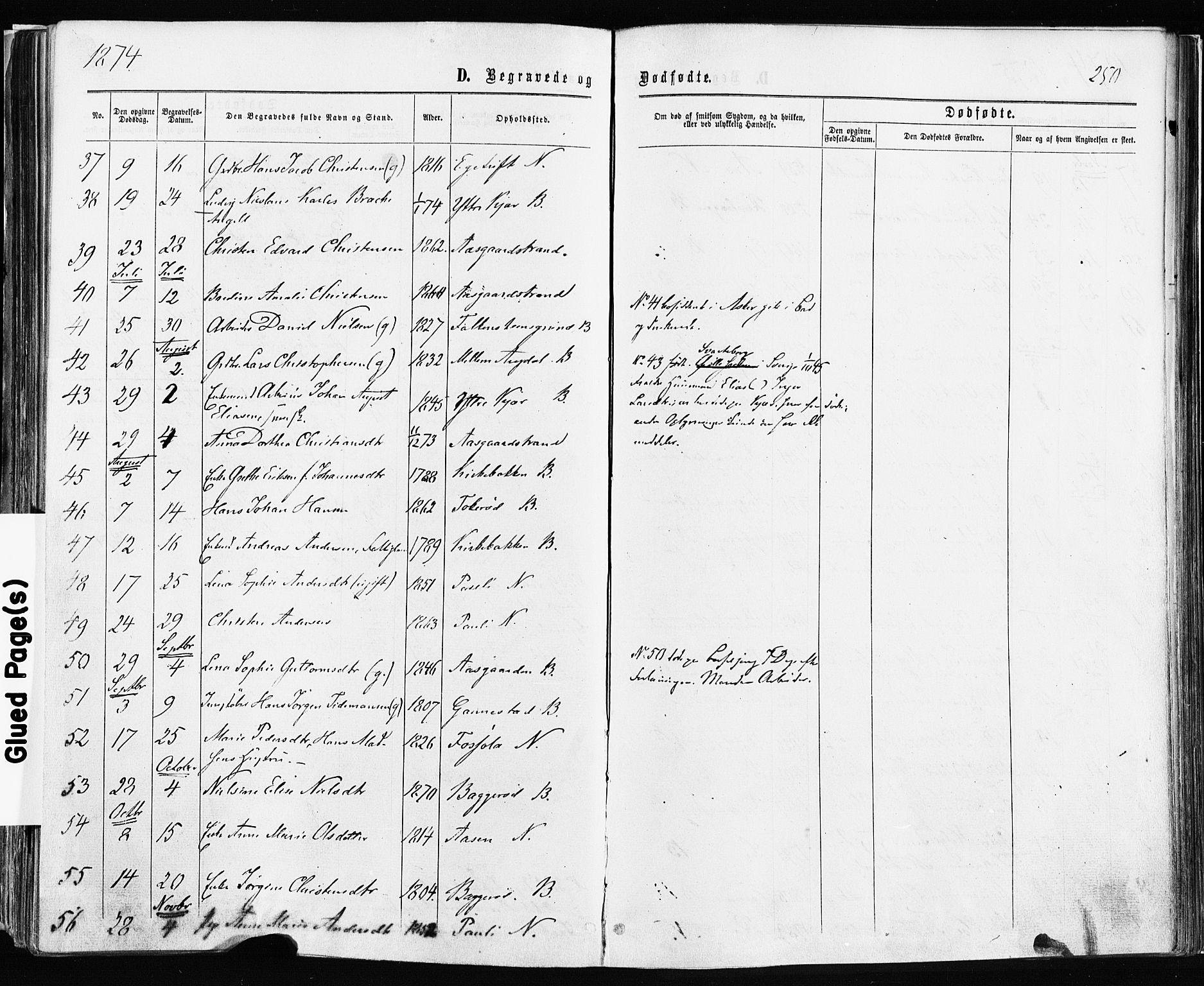 Borre kirkebøker, AV/SAKO-A-338/F/Fa/L0008: Parish register (official) no. I 8, 1868-1877, p. 250