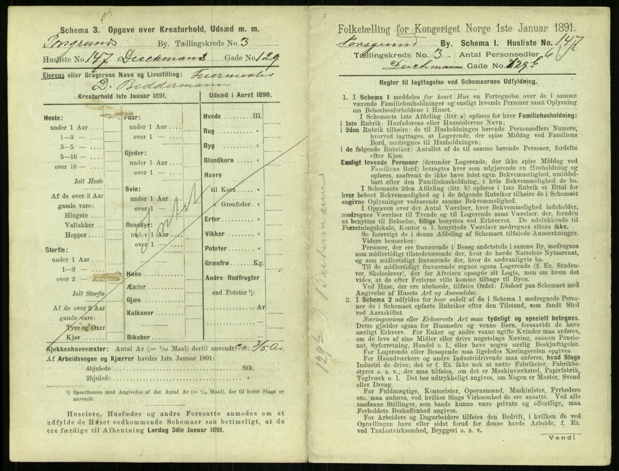 RA, 1891 census for 0805 Porsgrunn, 1891, p. 777