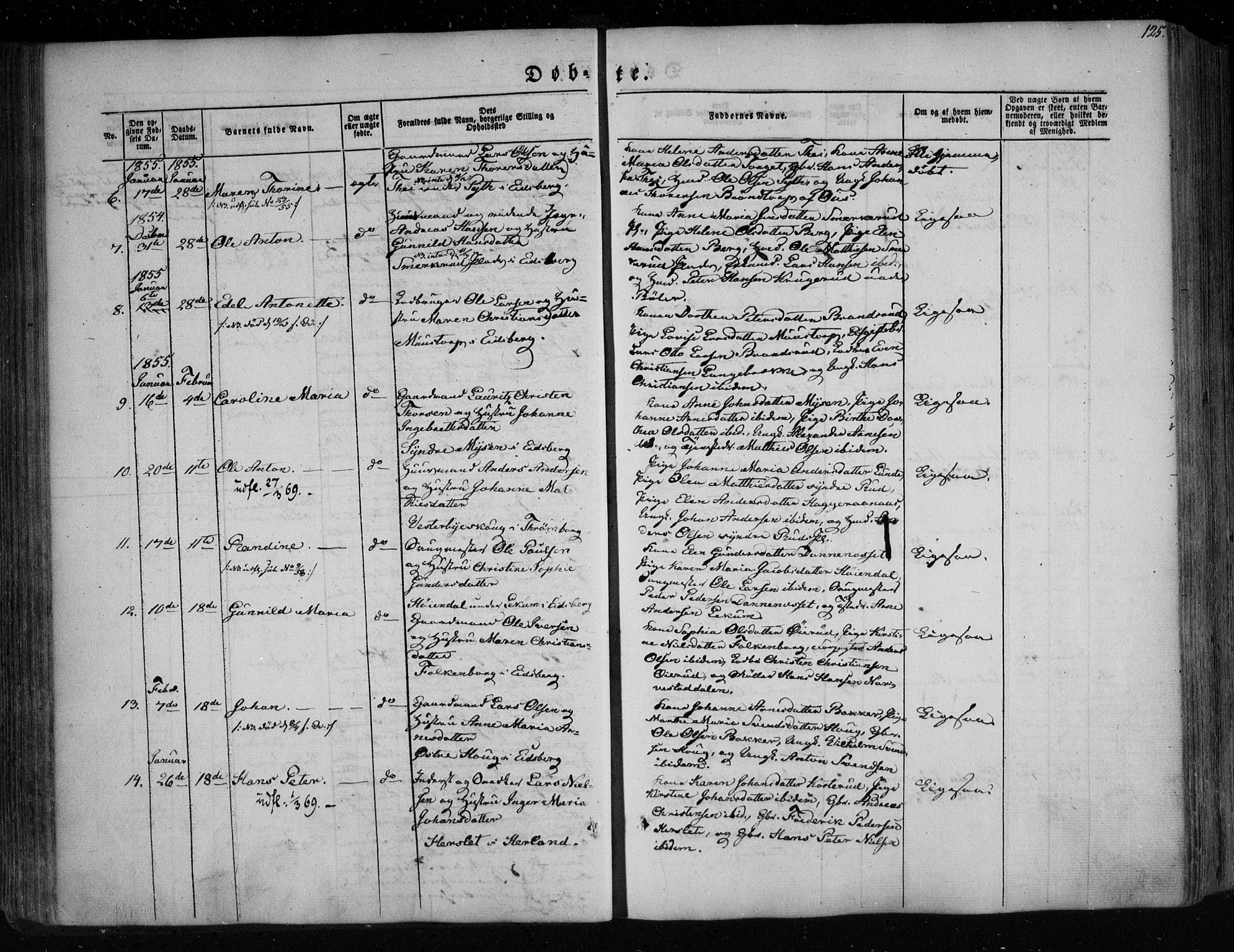 Eidsberg prestekontor Kirkebøker, SAO/A-10905/F/Fa/L0009: Parish register (official) no. I 9, 1849-1856, p. 125