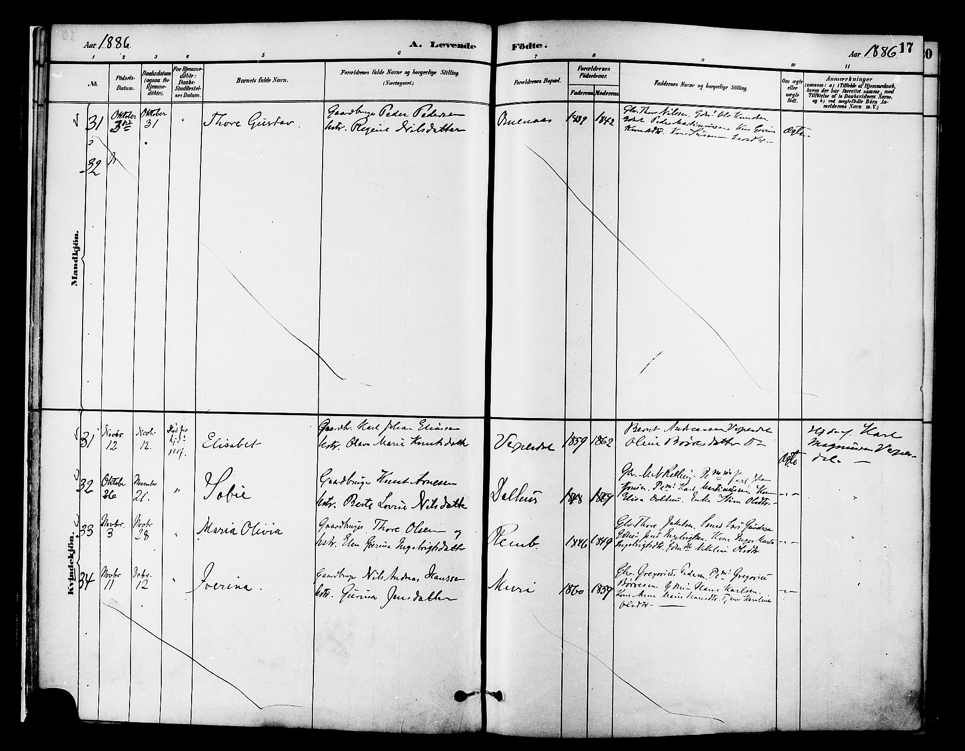 Ministerialprotokoller, klokkerbøker og fødselsregistre - Møre og Romsdal, AV/SAT-A-1454/519/L0255: Parish register (official) no. 519A14, 1884-1908, p. 17