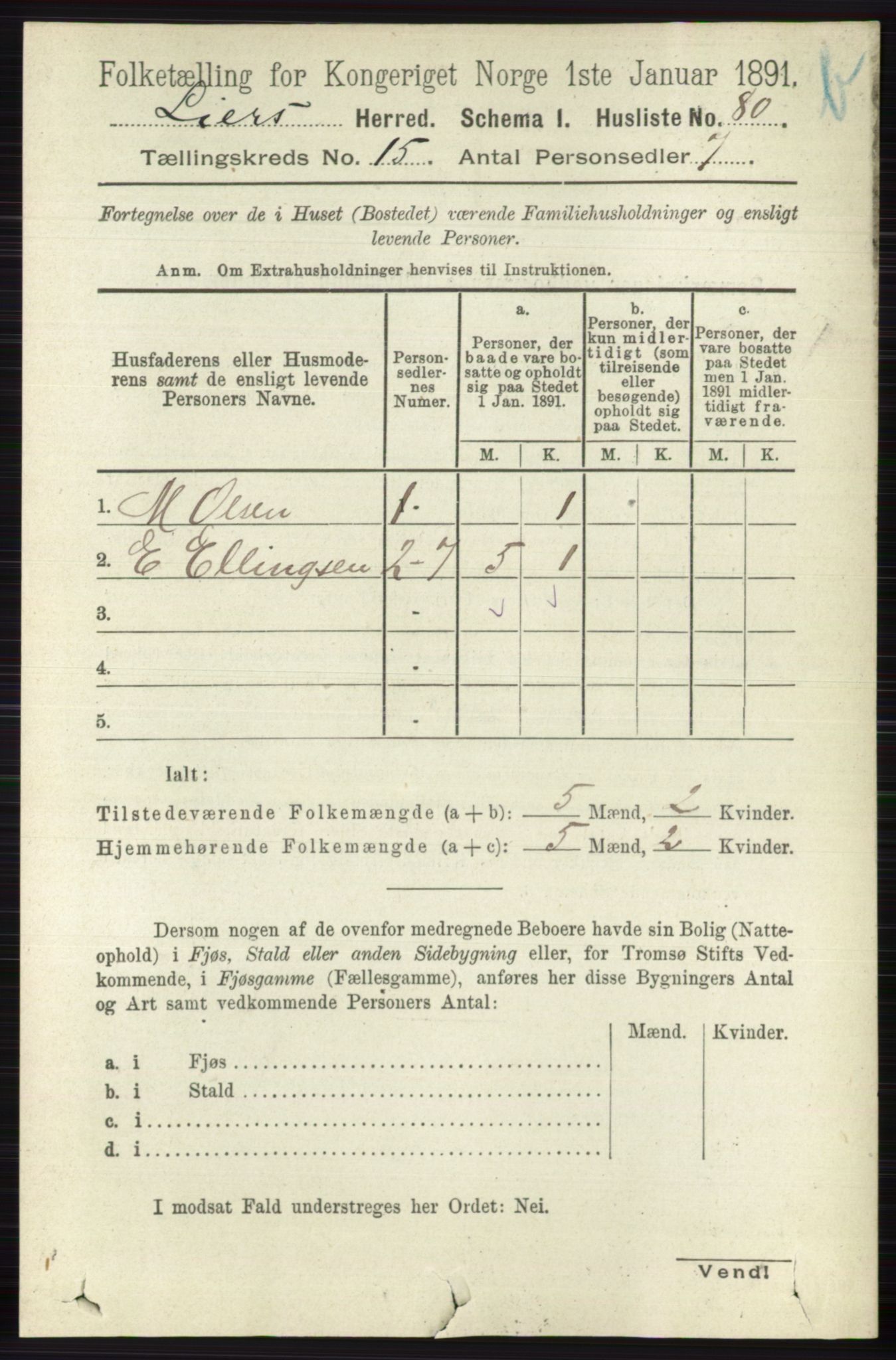 RA, 1891 census for 0626 Lier, 1891, p. 8705