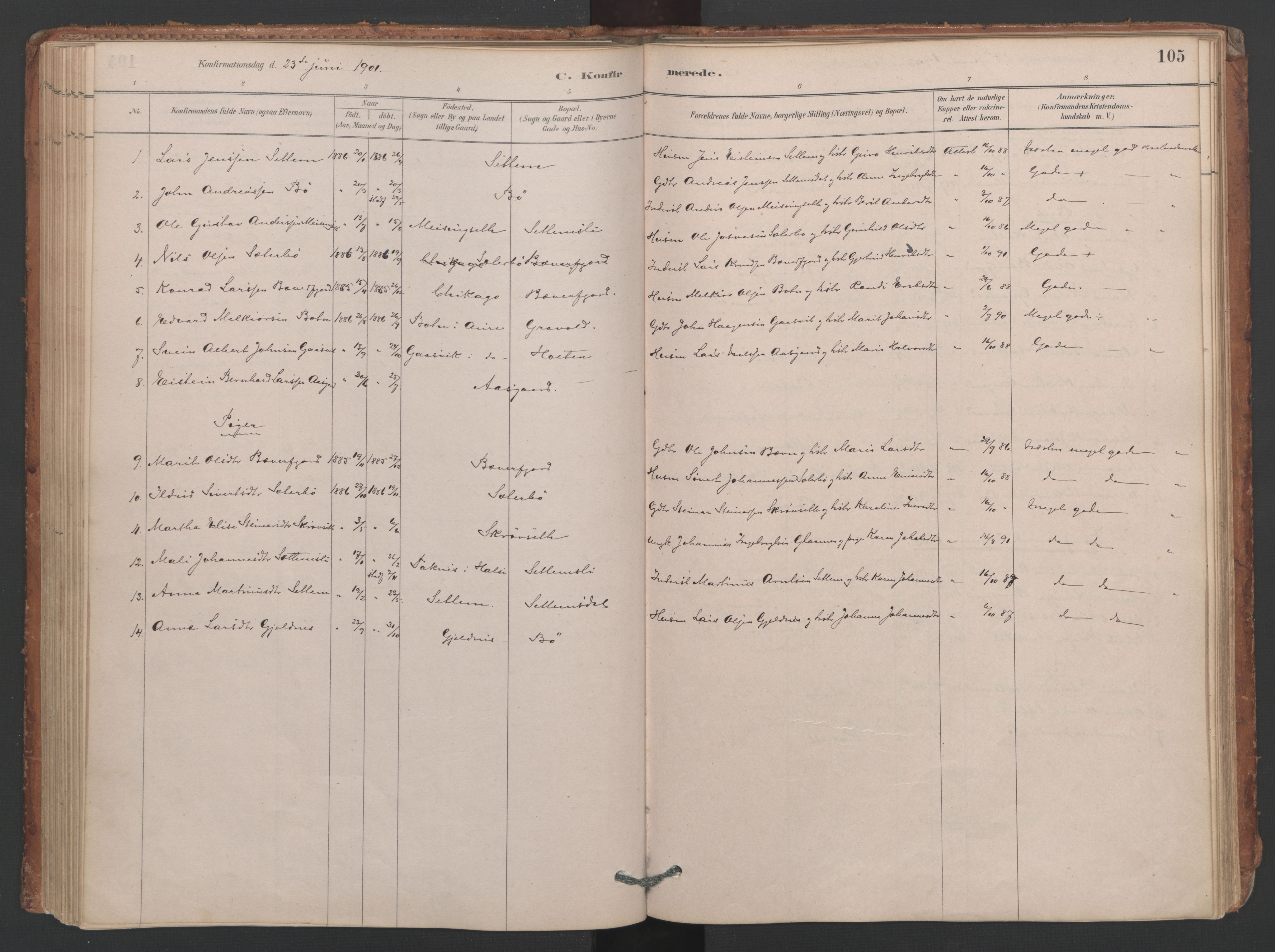 Ministerialprotokoller, klokkerbøker og fødselsregistre - Møre og Romsdal, AV/SAT-A-1454/594/L1036: Parish register (official) no. 594A02 (?), 1879-1910, p. 105