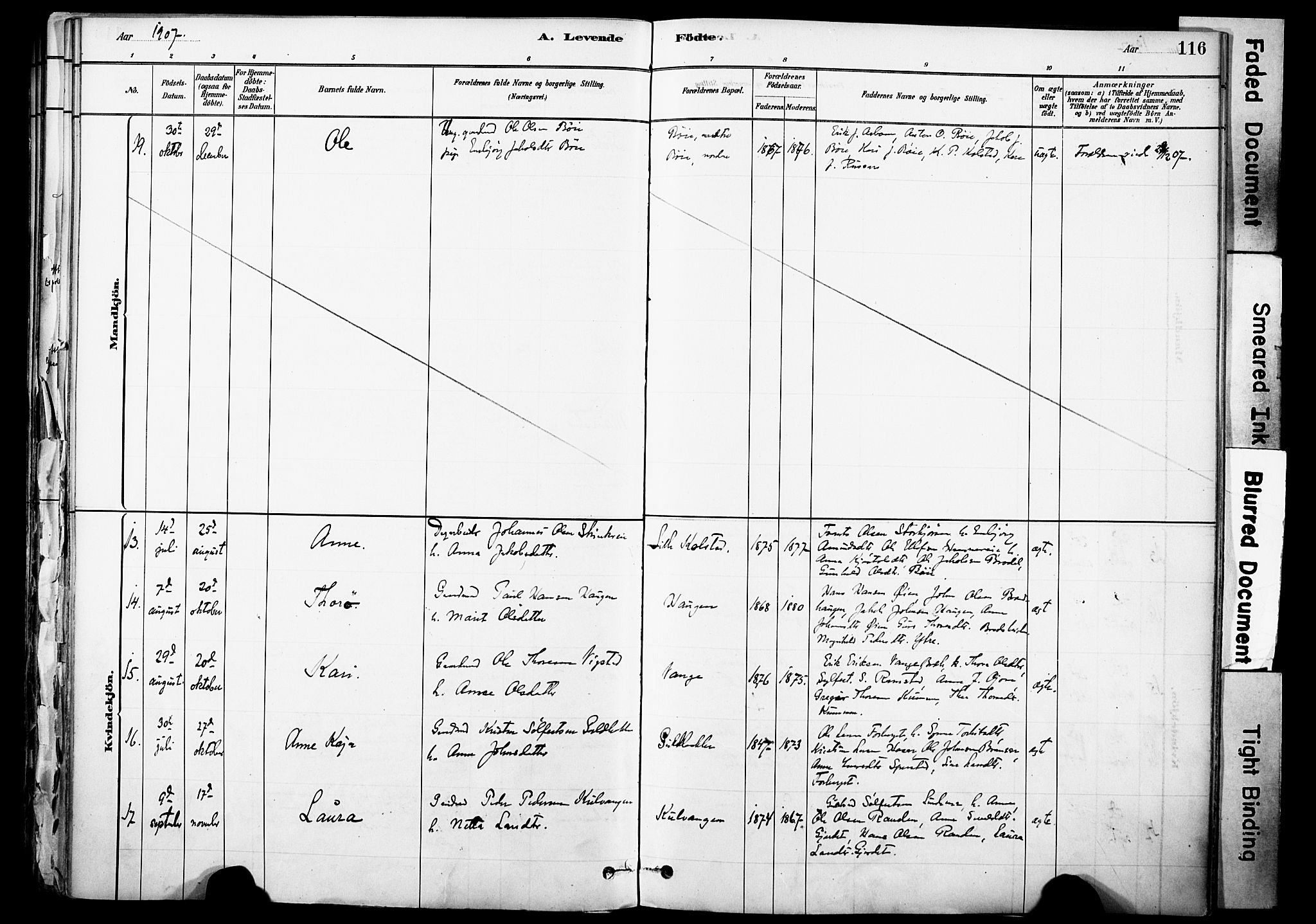 Skjåk prestekontor, AV/SAH-PREST-072/H/Ha/Haa/L0003: Parish register (official) no. 3, 1880-1907, p. 116