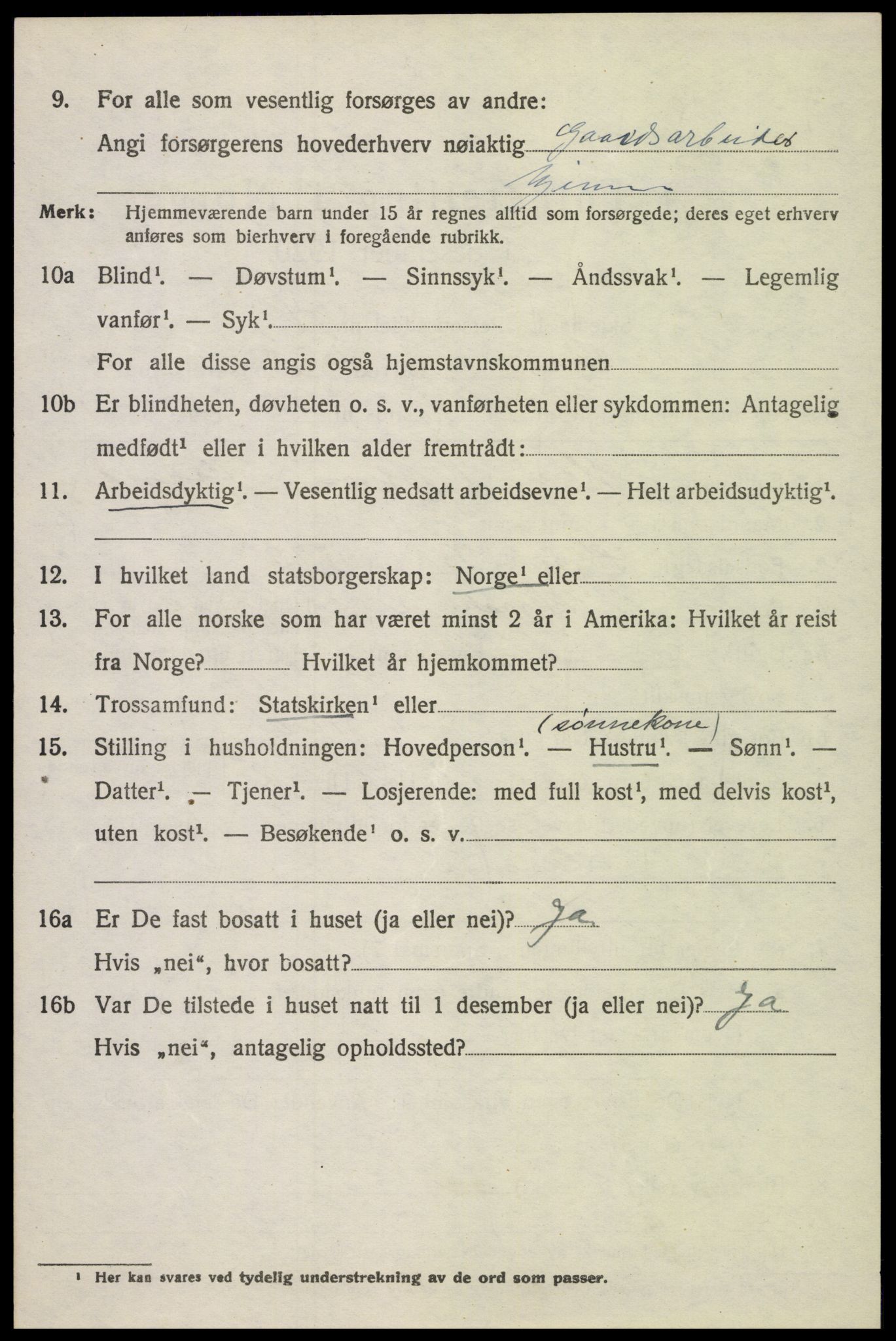 SAH, 1920 census for Biri, 1920, p. 3204