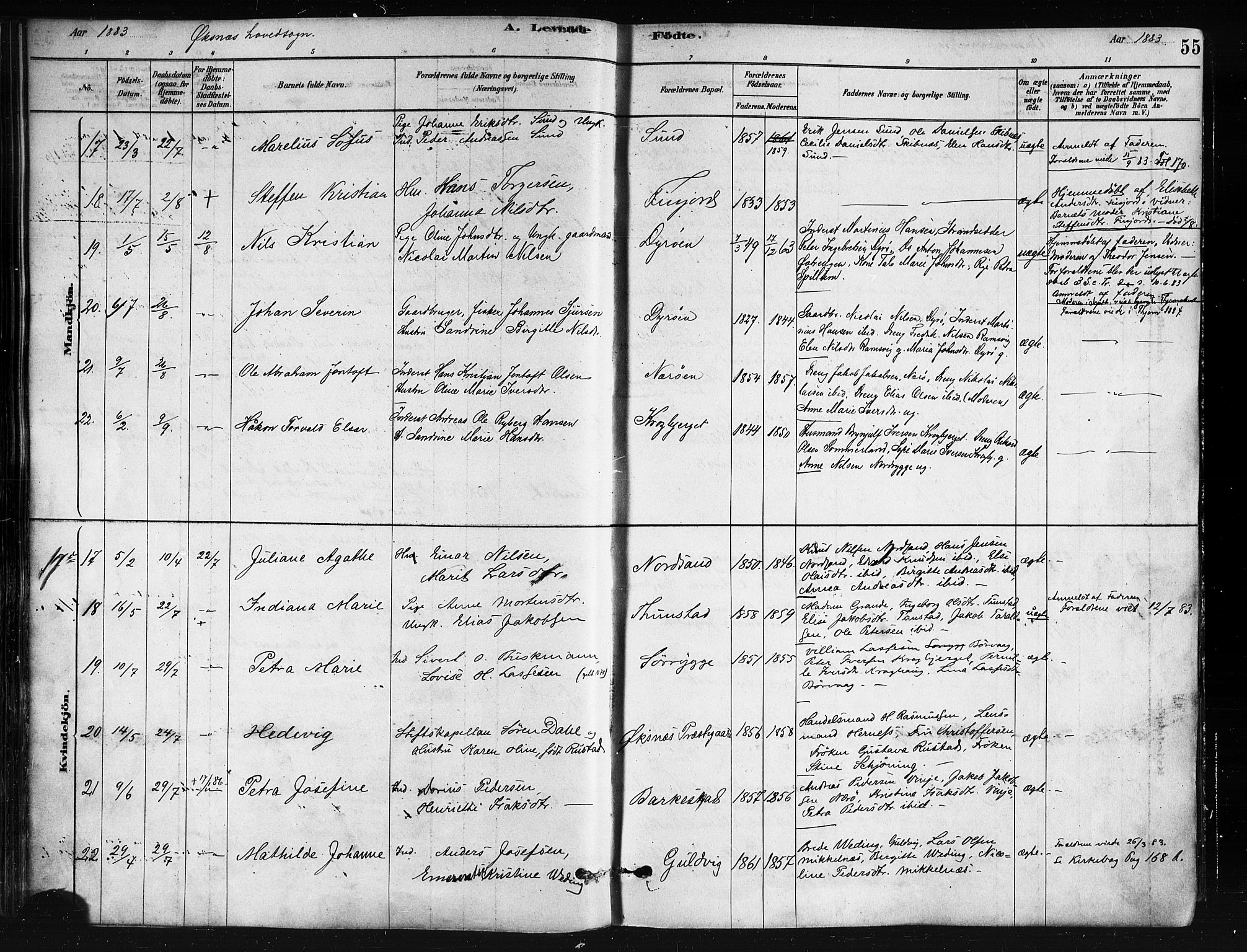 Ministerialprotokoller, klokkerbøker og fødselsregistre - Nordland, AV/SAT-A-1459/893/L1335: Parish register (official) no. 893A08 /1, 1878-1884, p. 55