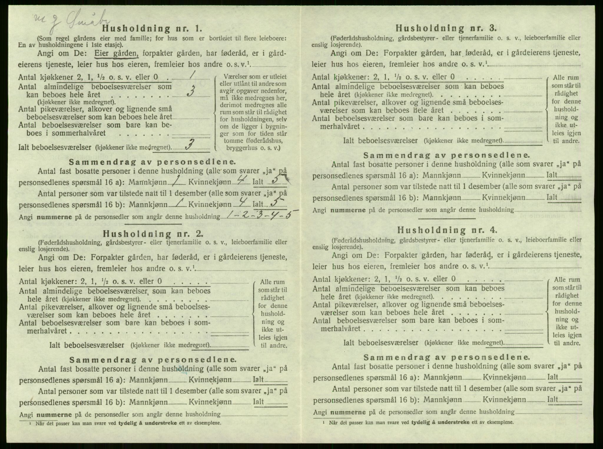 SAKO, 1920 census for Lier, 1920, p. 3053