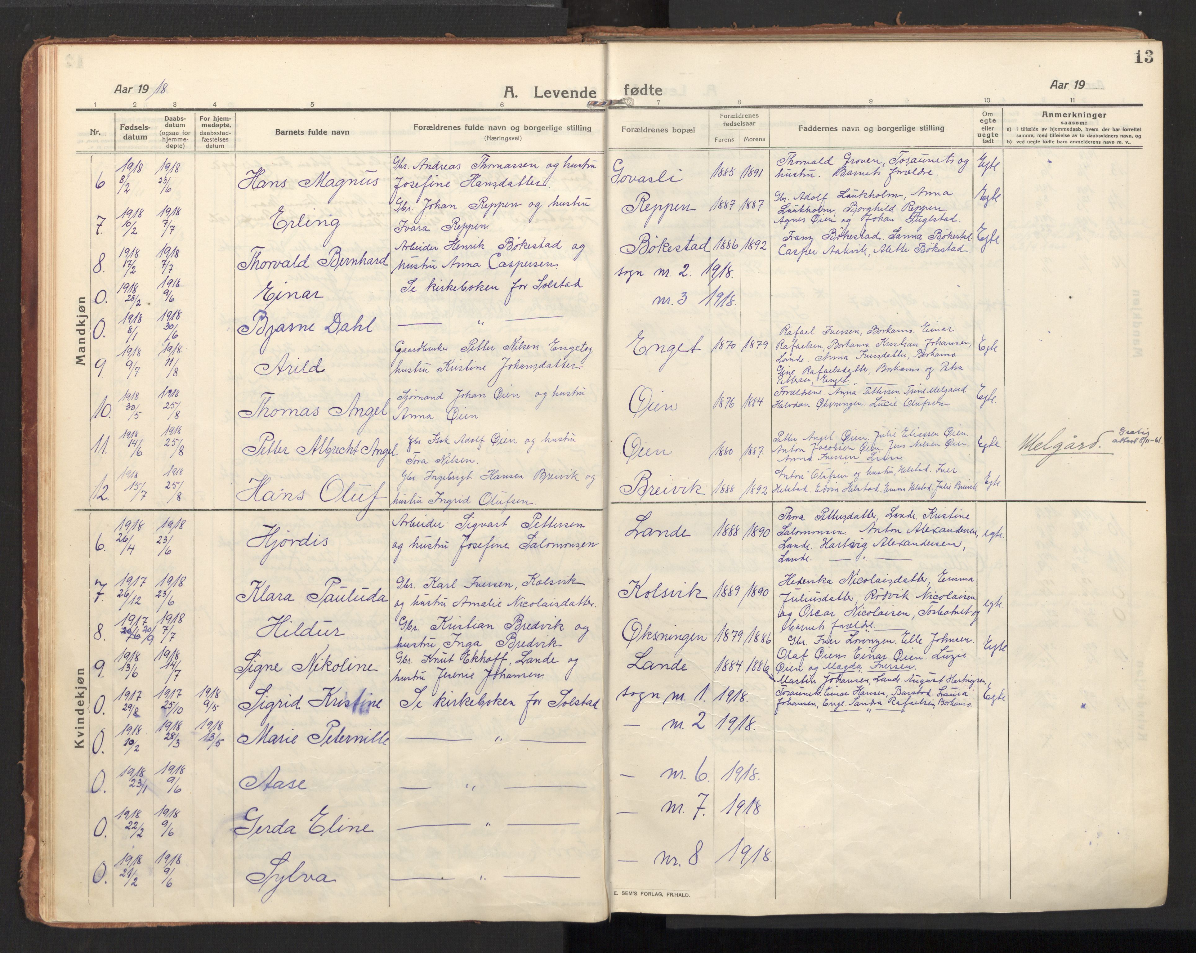 Ministerialprotokoller, klokkerbøker og fødselsregistre - Nordland, AV/SAT-A-1459/810/L0156: Parish register (official) no. 810A15, 1915-1930, p. 13