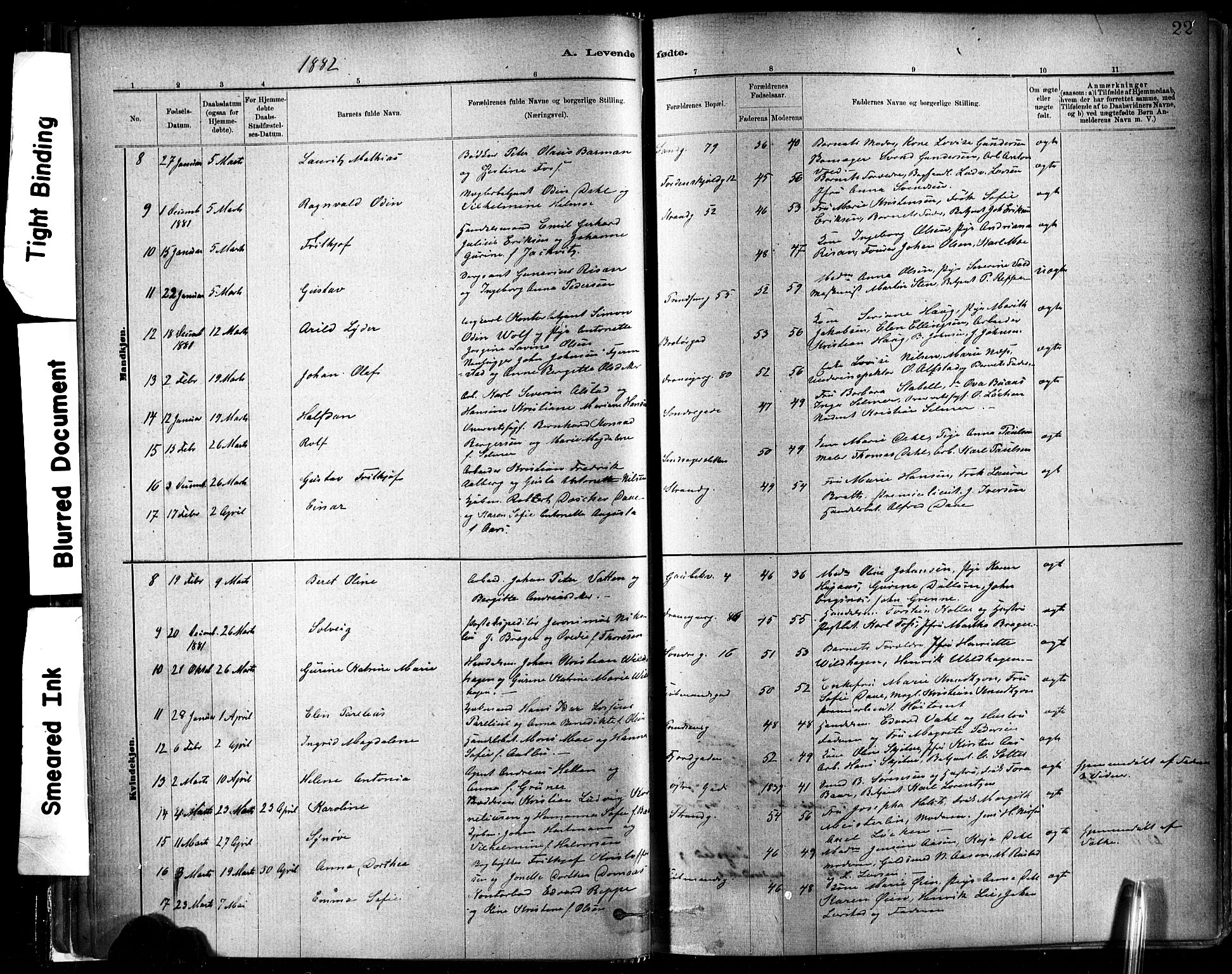 Ministerialprotokoller, klokkerbøker og fødselsregistre - Sør-Trøndelag, SAT/A-1456/602/L0119: Parish register (official) no. 602A17, 1880-1901, p. 22