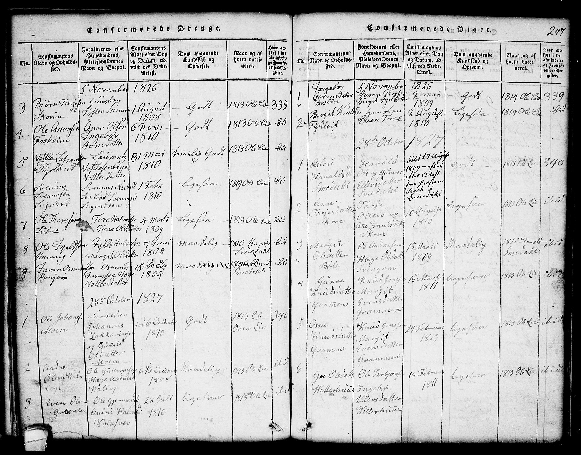 Seljord kirkebøker, AV/SAKO-A-20/G/Gc/L0001: Parish register (copy) no. III 1, 1815-1849, p. 247