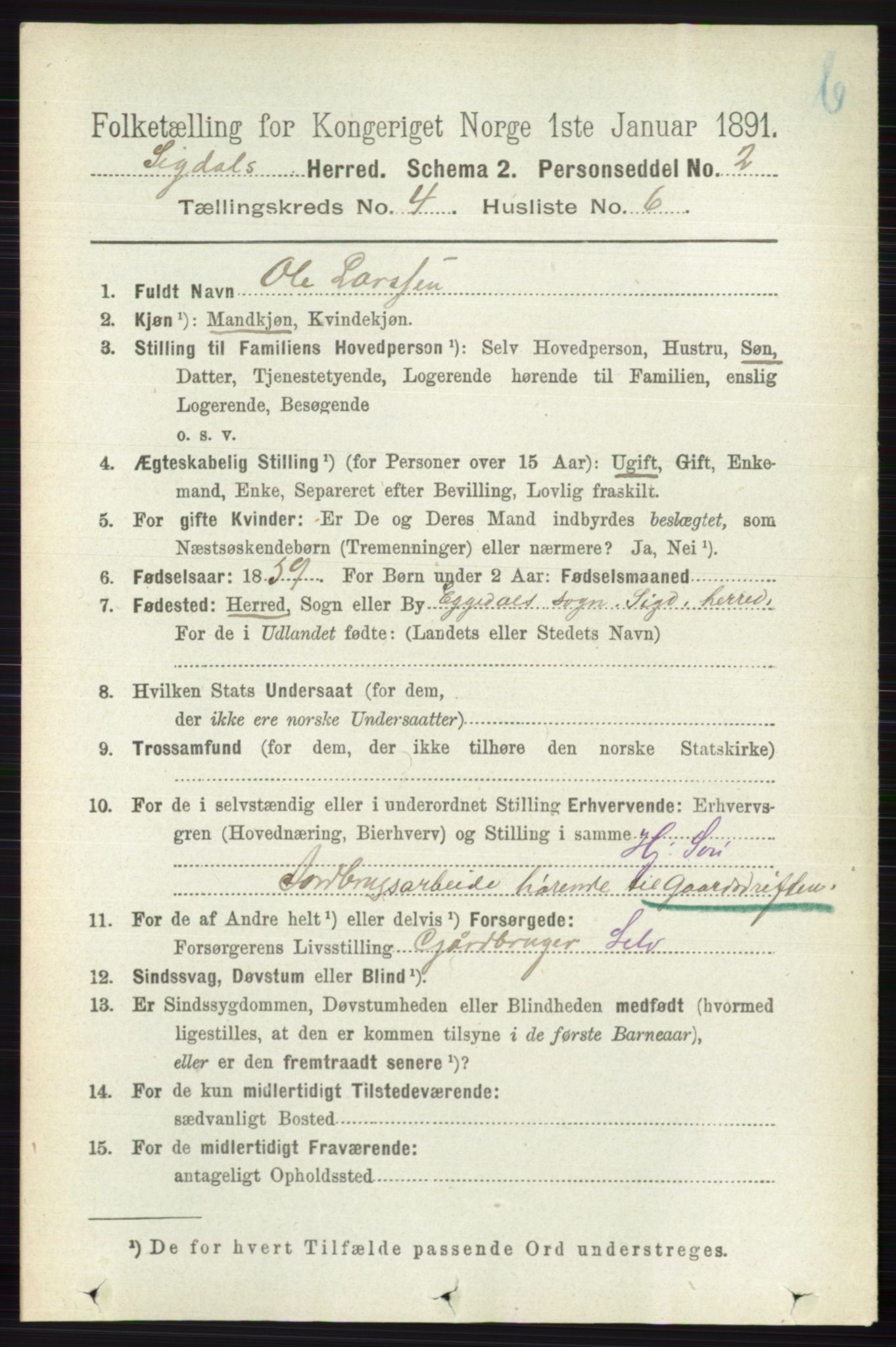 RA, 1891 census for 0621 Sigdal, 1891, p. 4699