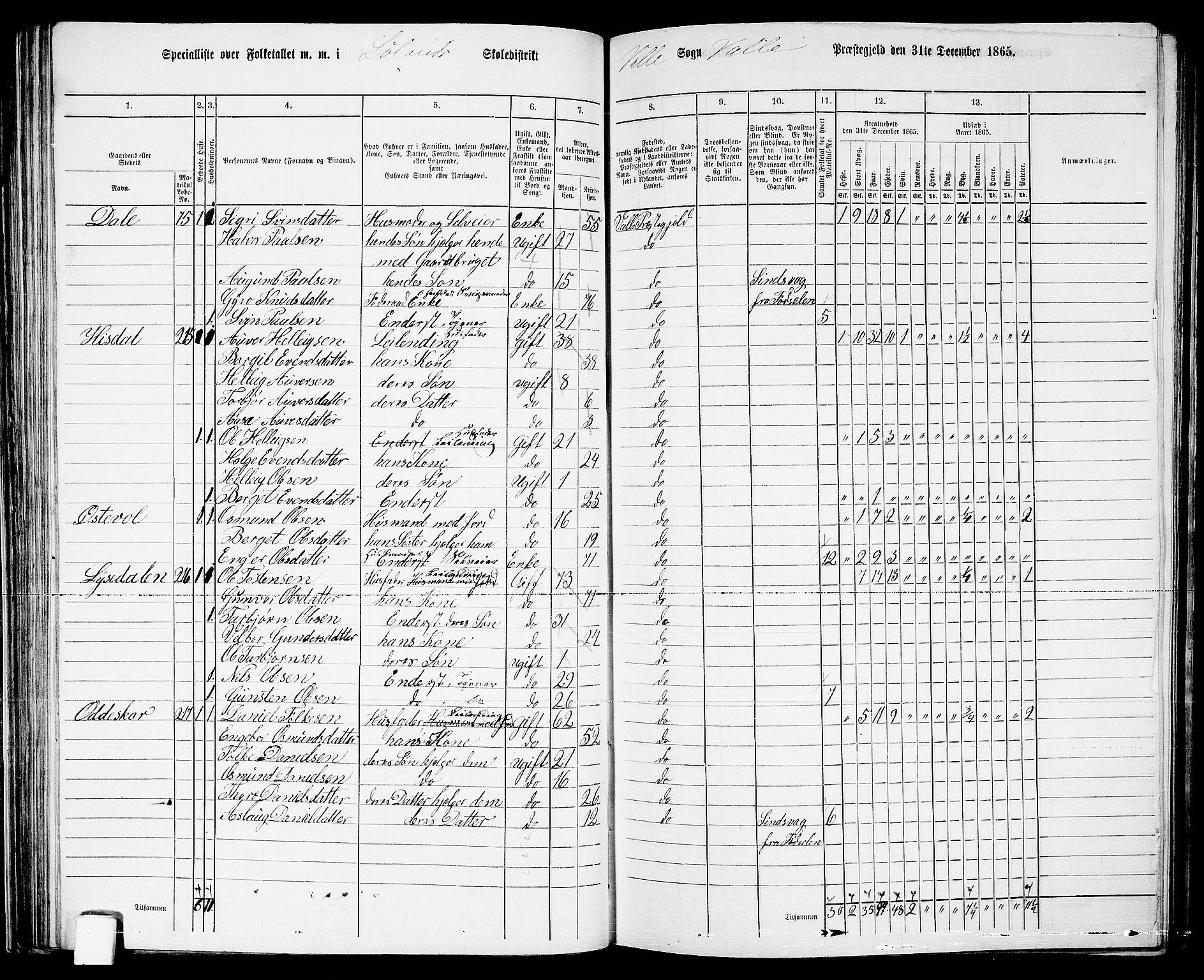 RA, 1865 census for Valle, 1865, p. 71